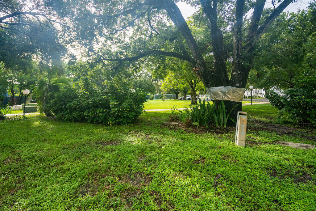 Shaded communal lawn beneath mature trees, with shrubs and path lights.