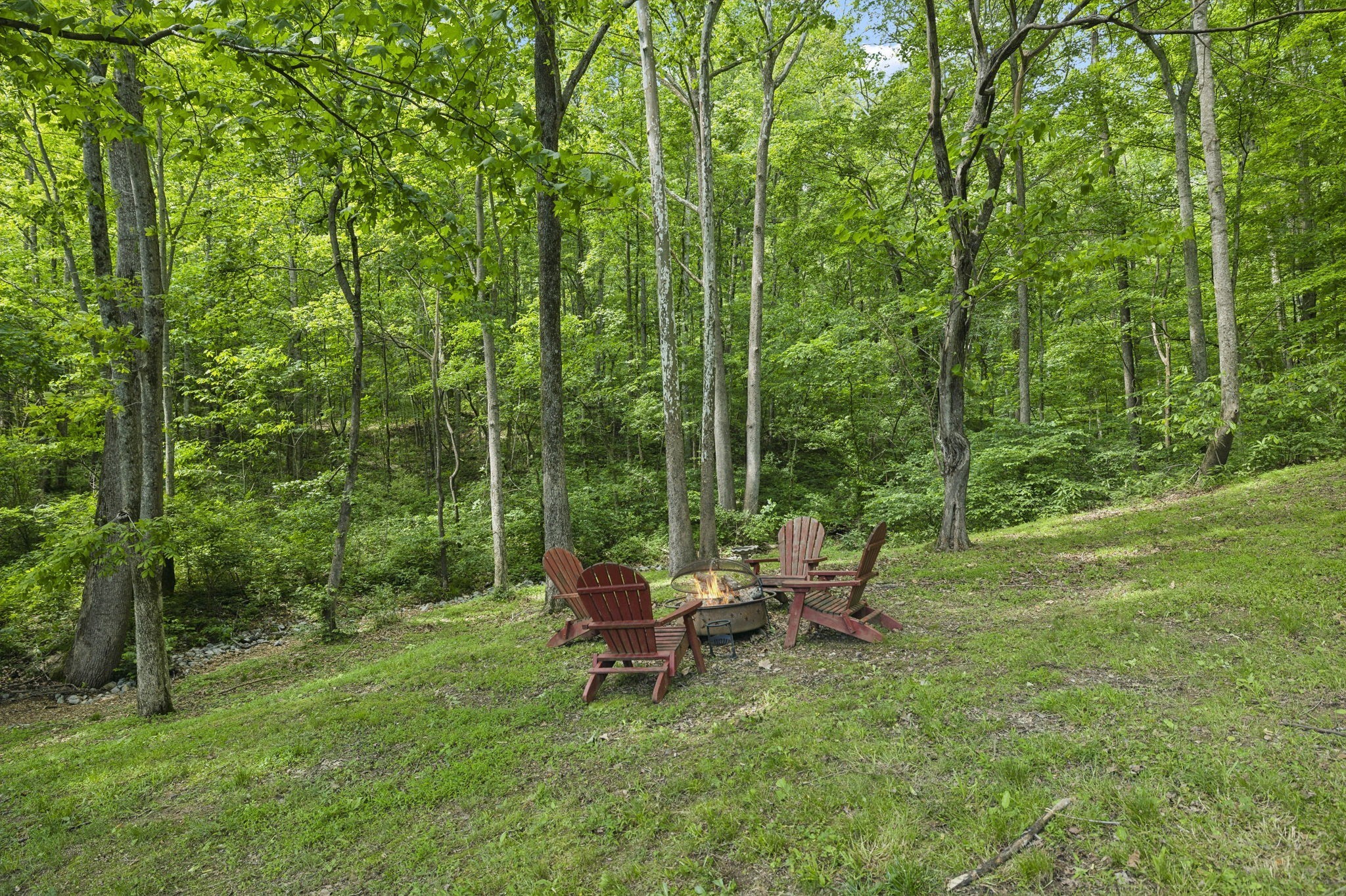 1075 Natchez Valley Ln