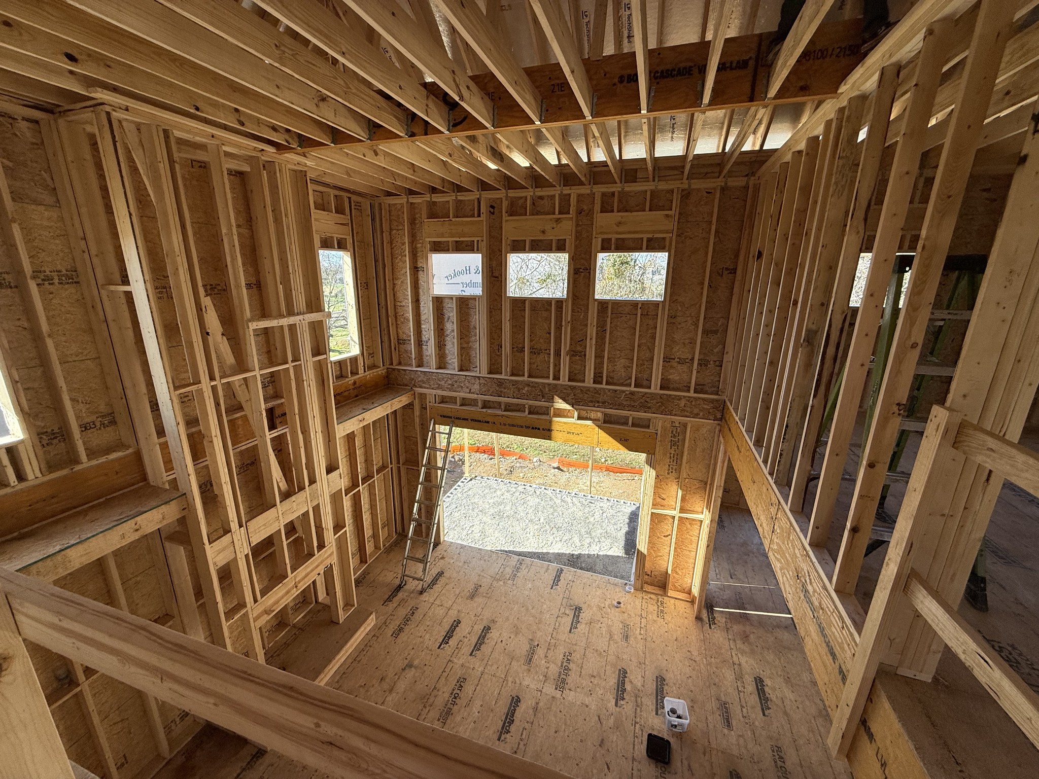 3005 Lilybelle Court