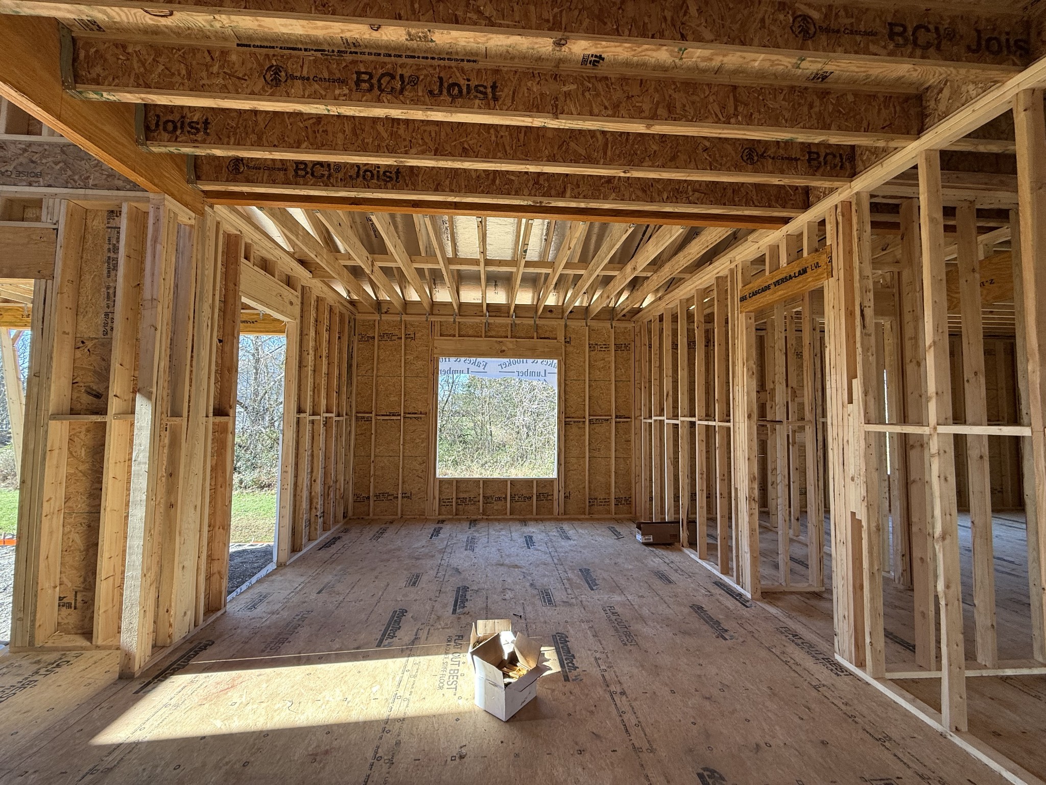 3005 Lilybelle Court