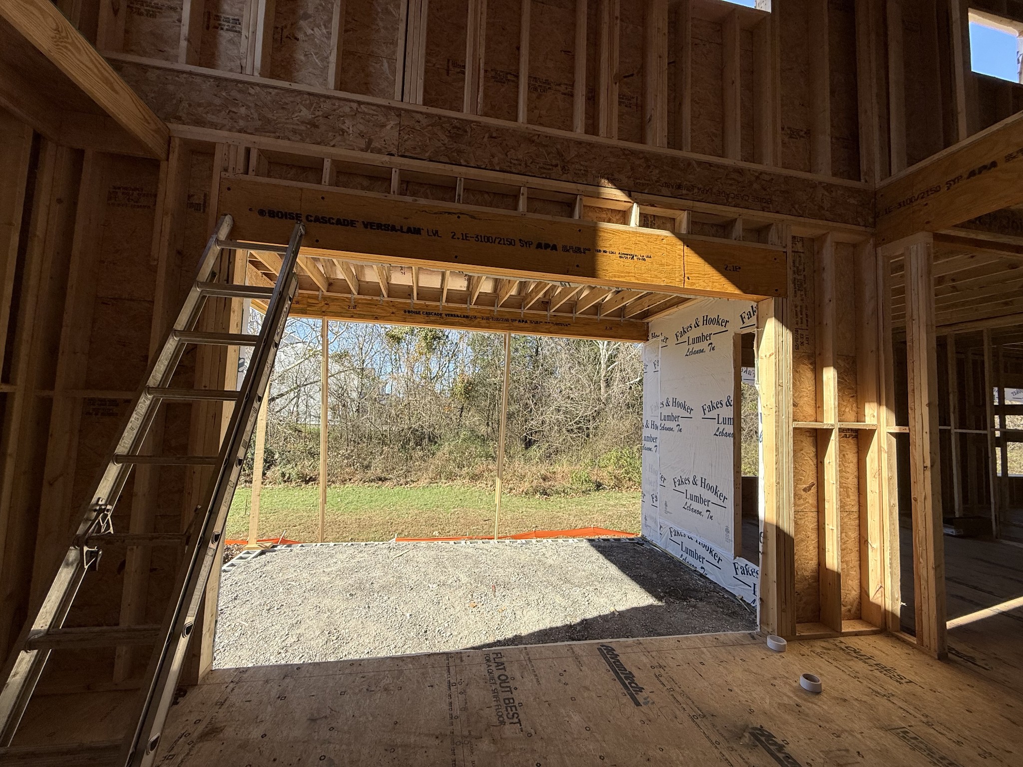 3005 Lilybelle Court