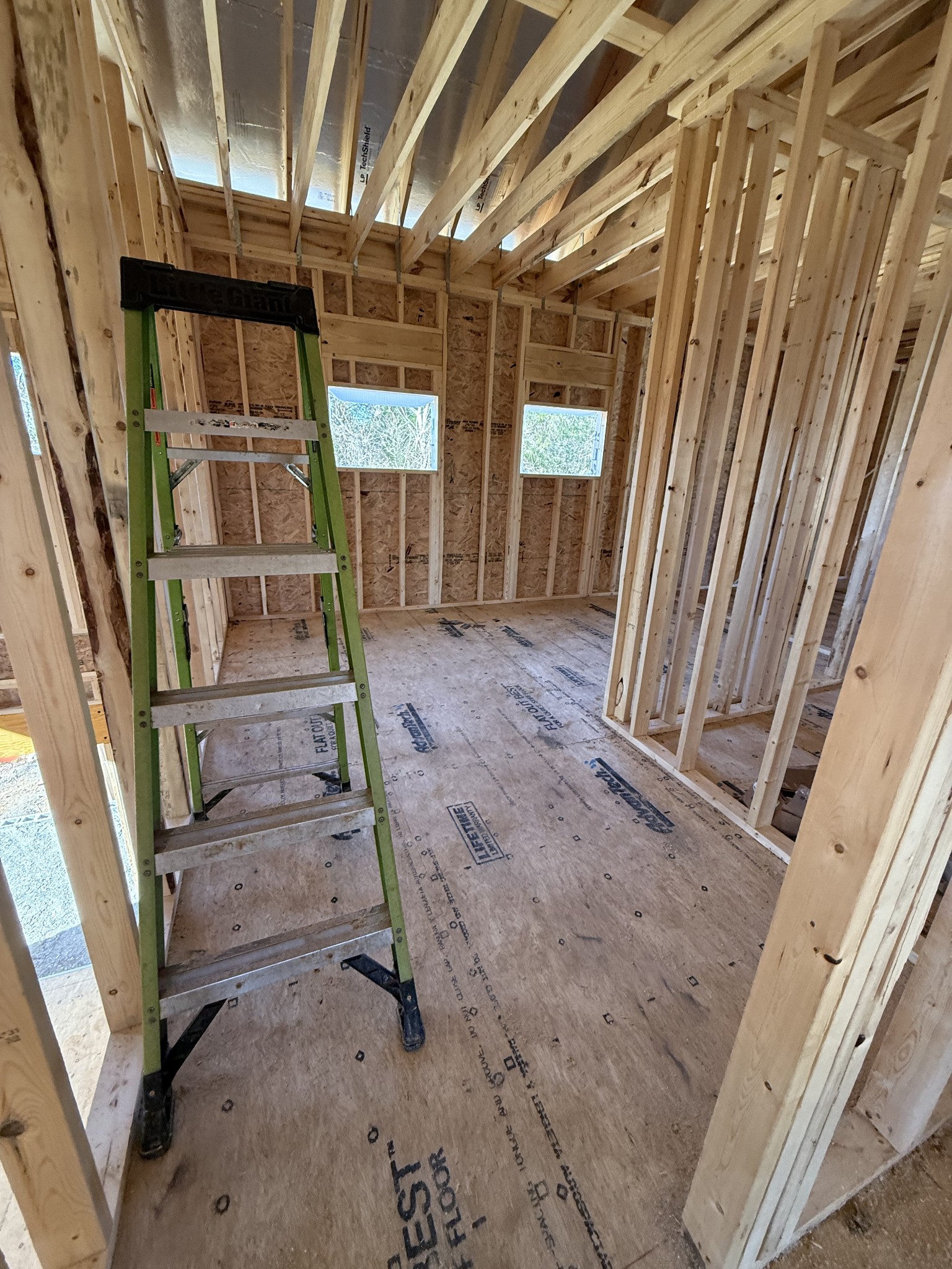 3005 Lilybelle Court