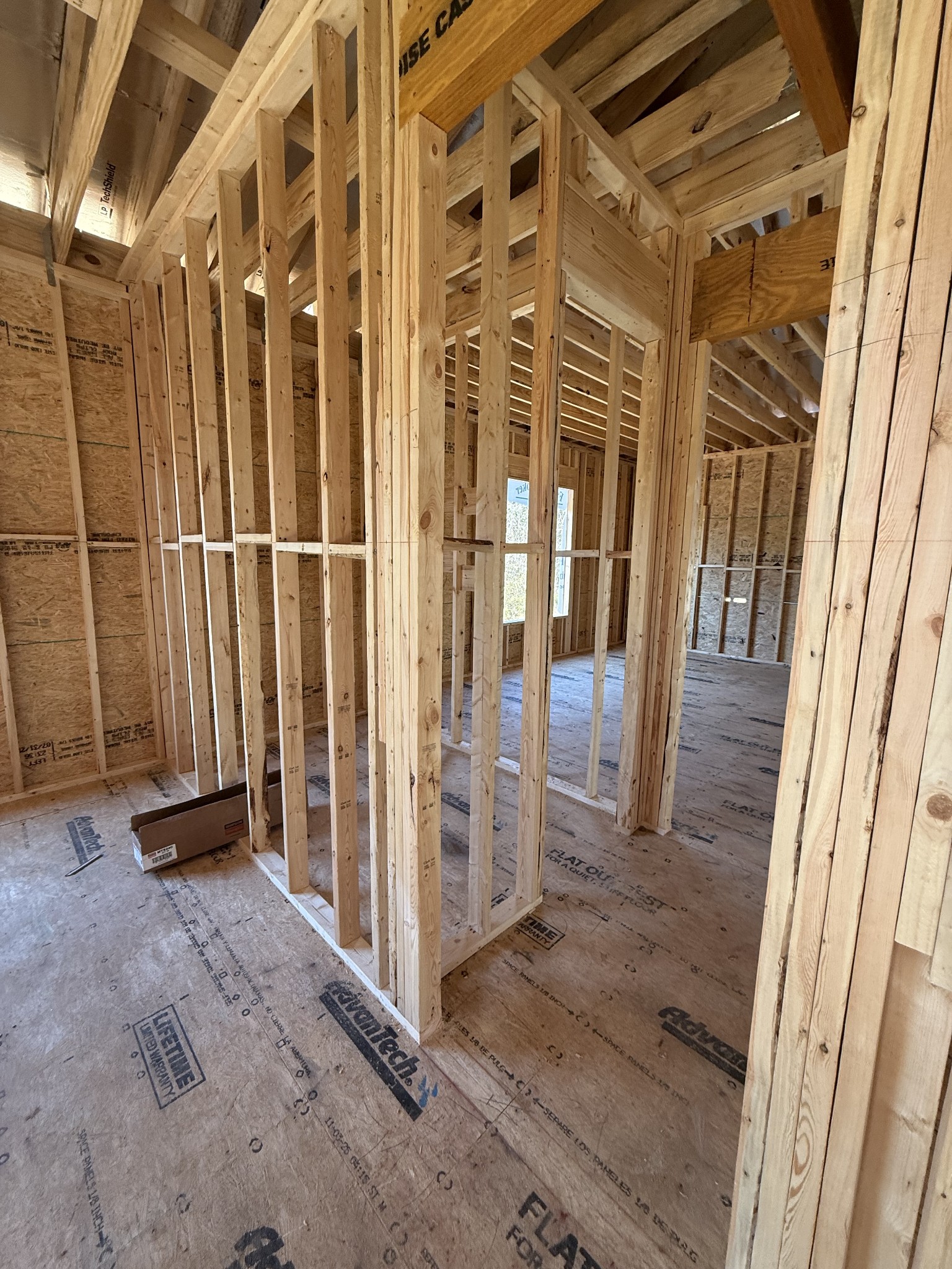 3005 Lilybelle Court