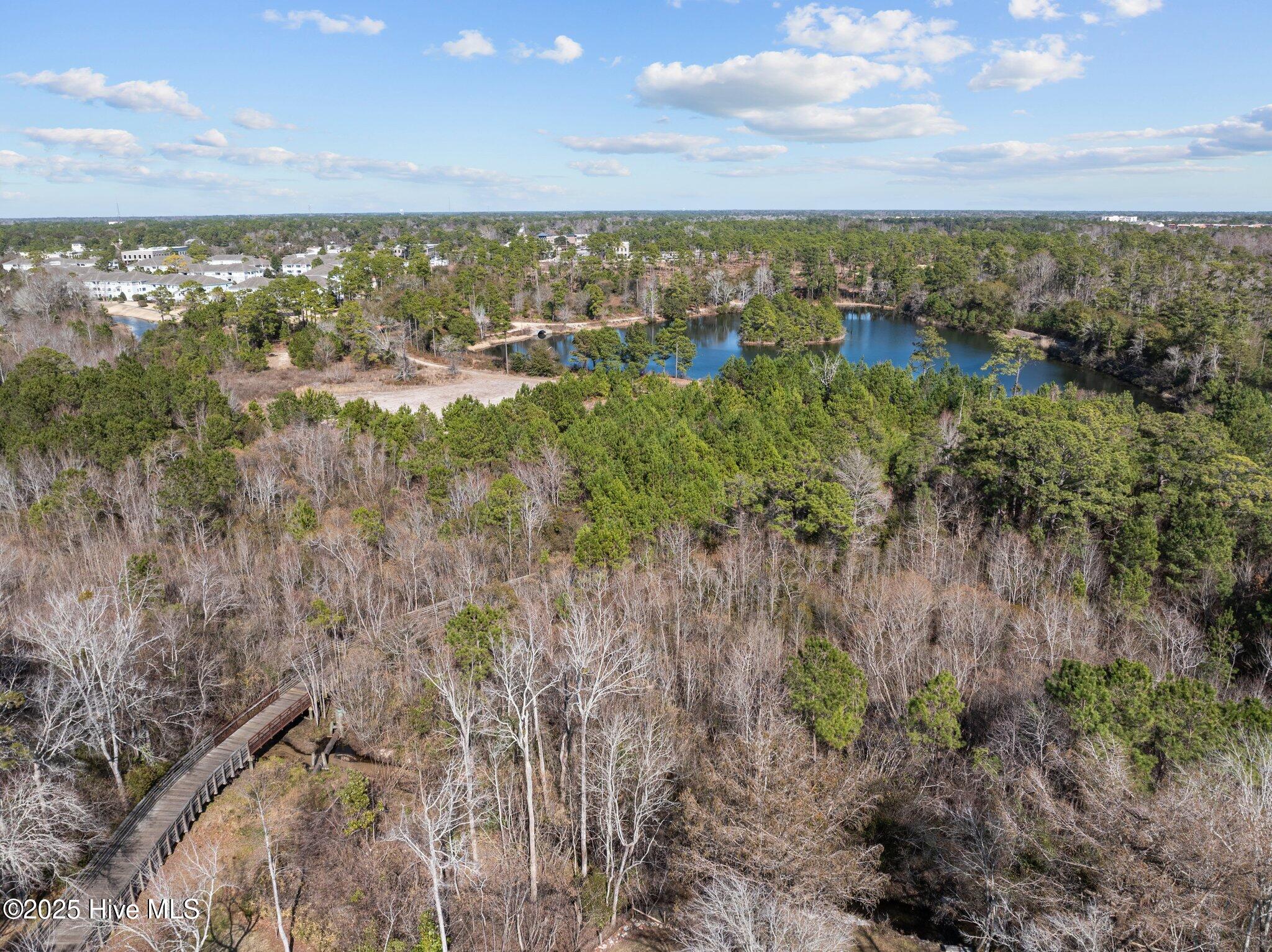 1213 Sea Lavender Drive