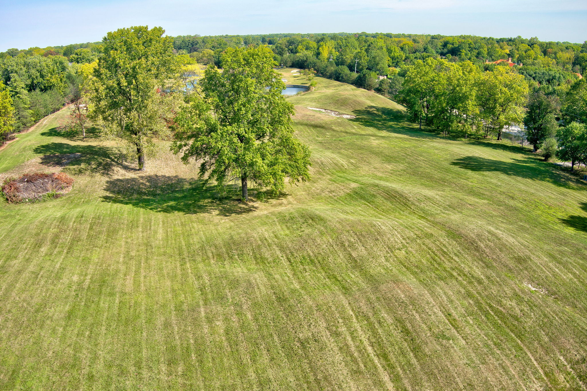 9900 Ditch Road