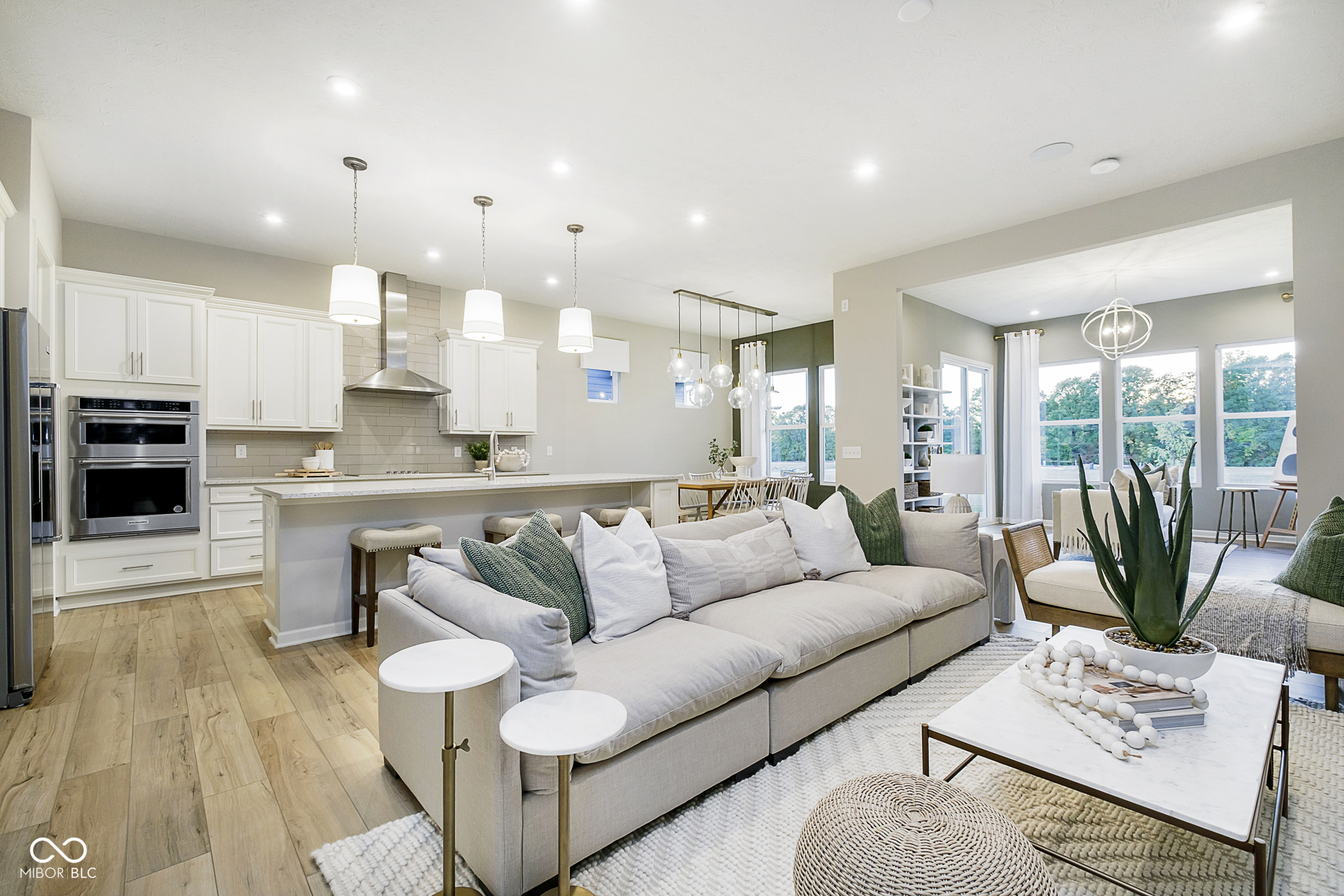 10584 Iron Pointe Drive