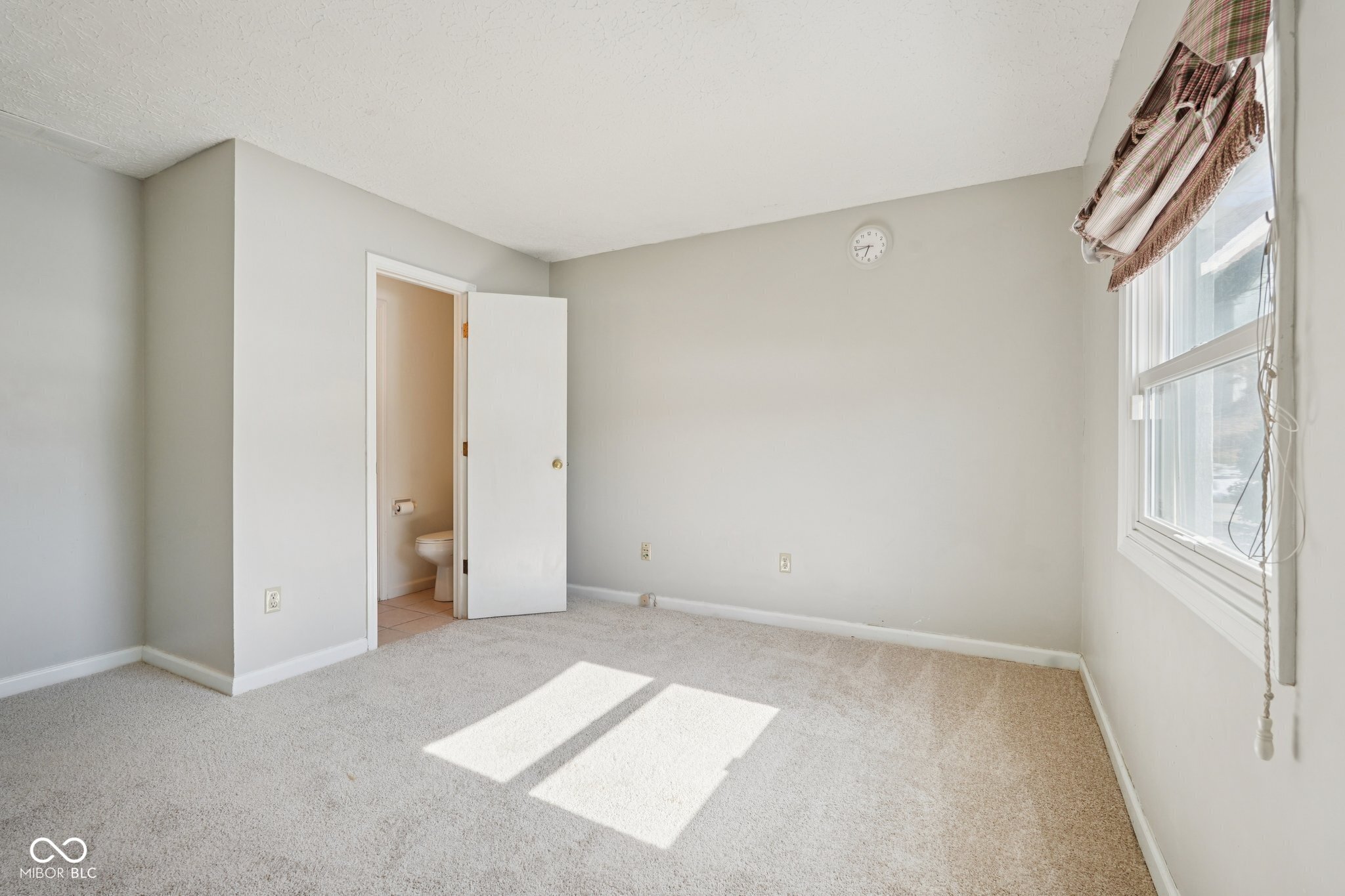 6 Greyhound Circle