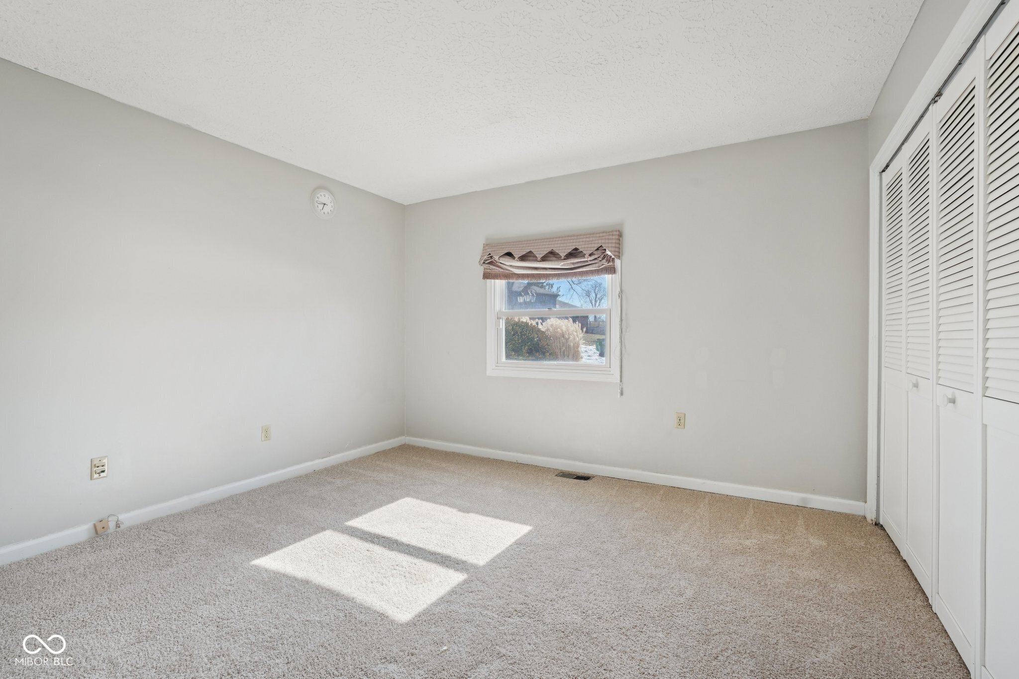 6 Greyhound Circle