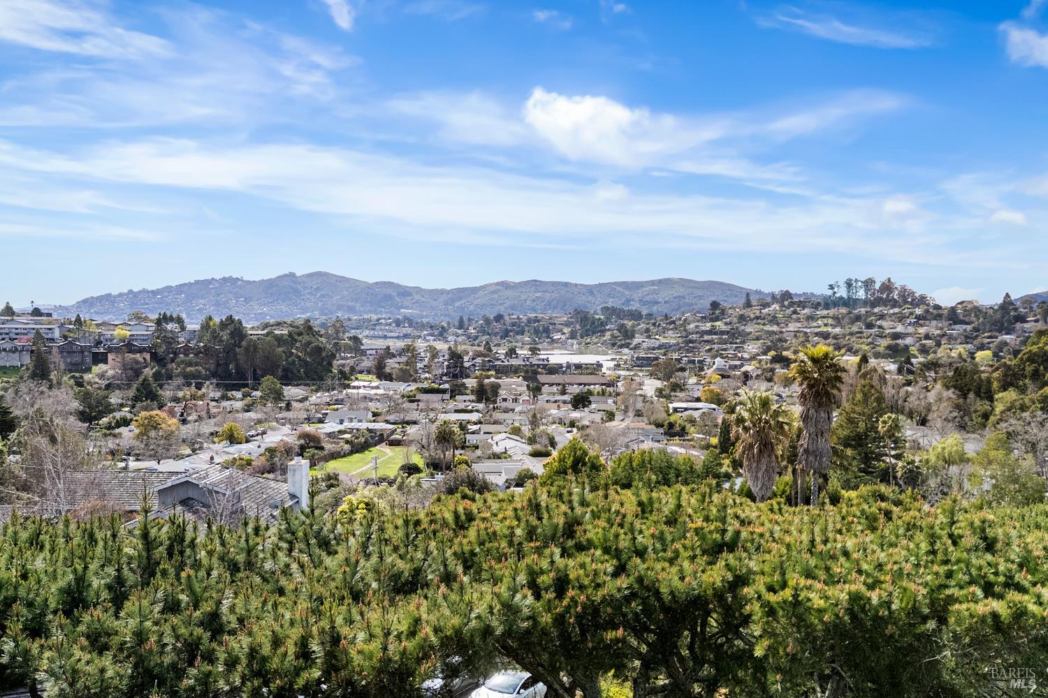 260 Blackfield Drive