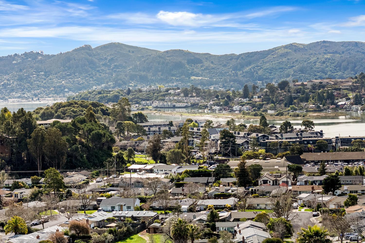 260 Blackfield Drive