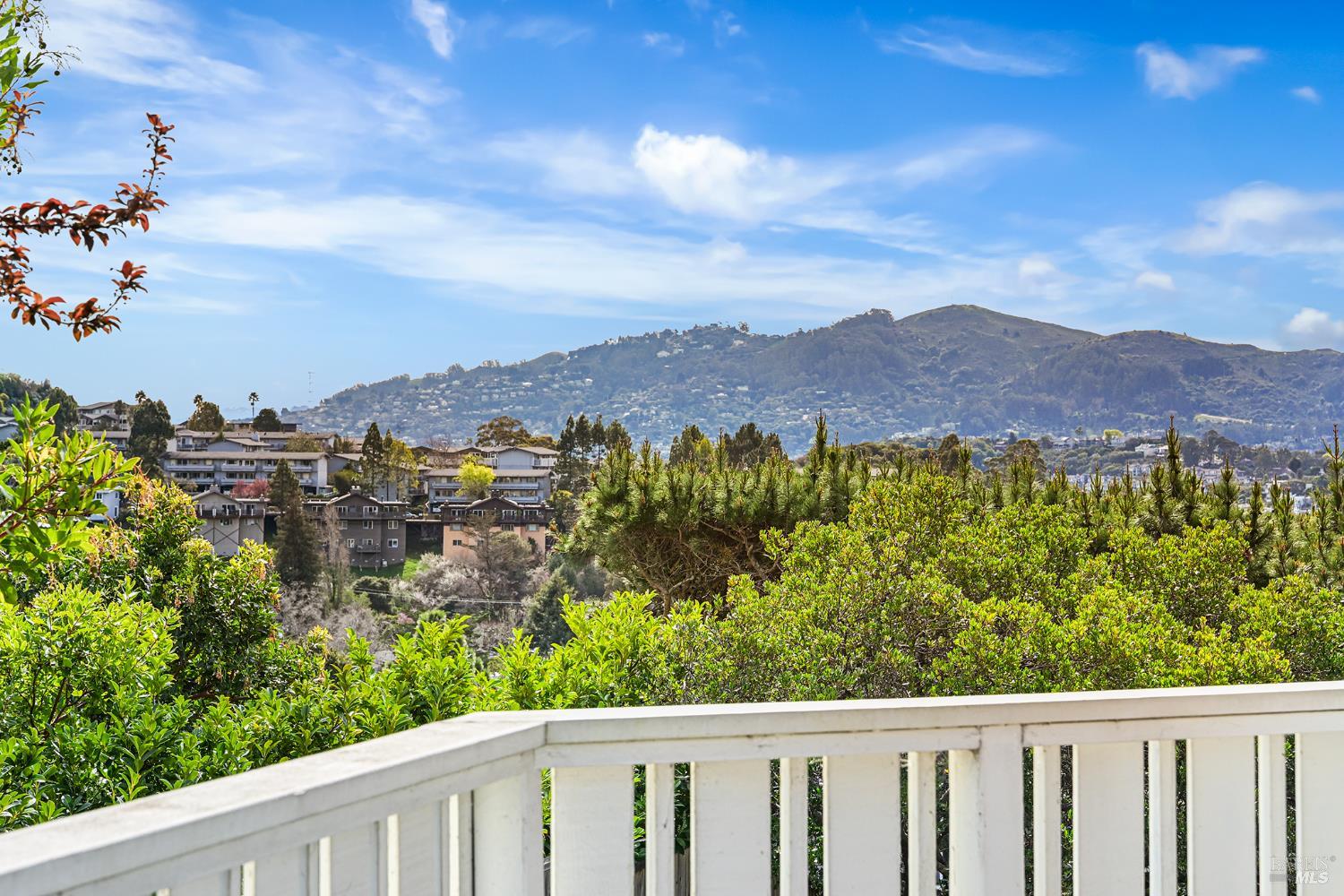 260 Blackfield Drive