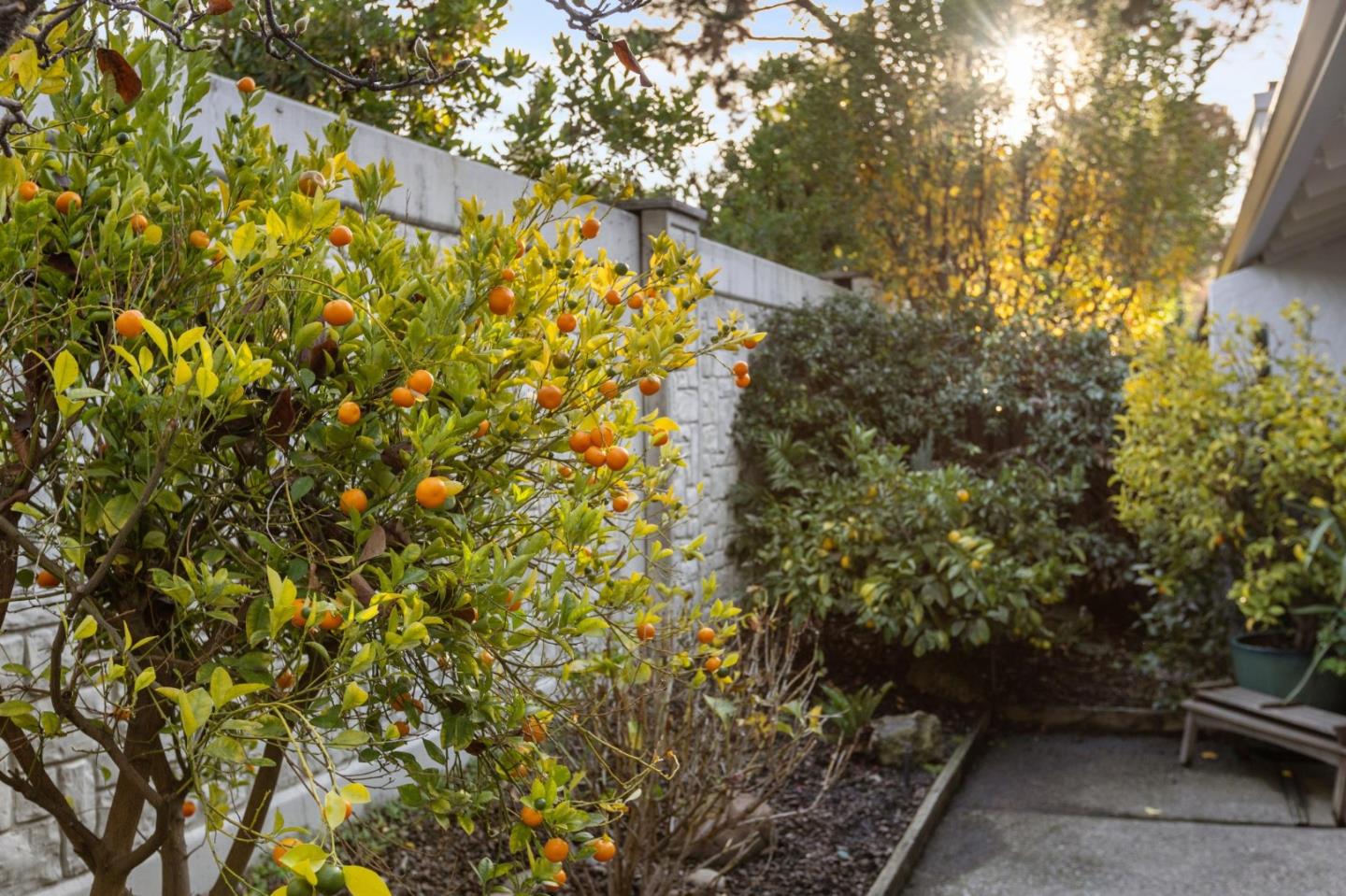 2445 Sharon Oaks Drive