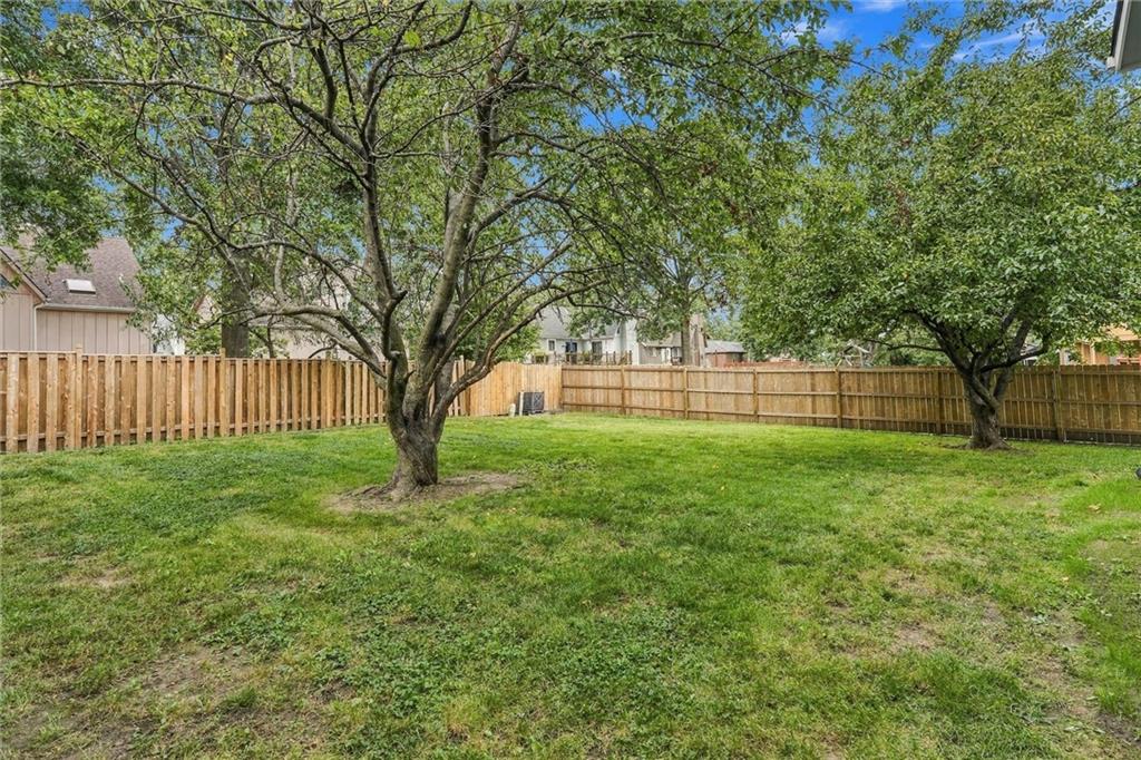 Backyard with a broad lawn, two mature trees, and a wooden privacy fence.