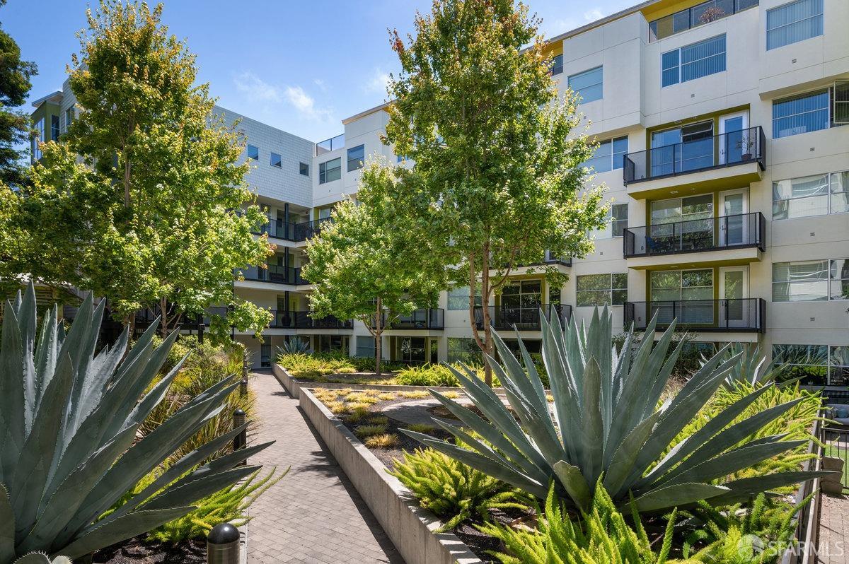 989 20th Street # 568