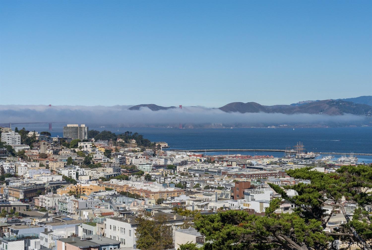 117 Telegraph Hill Boulevard