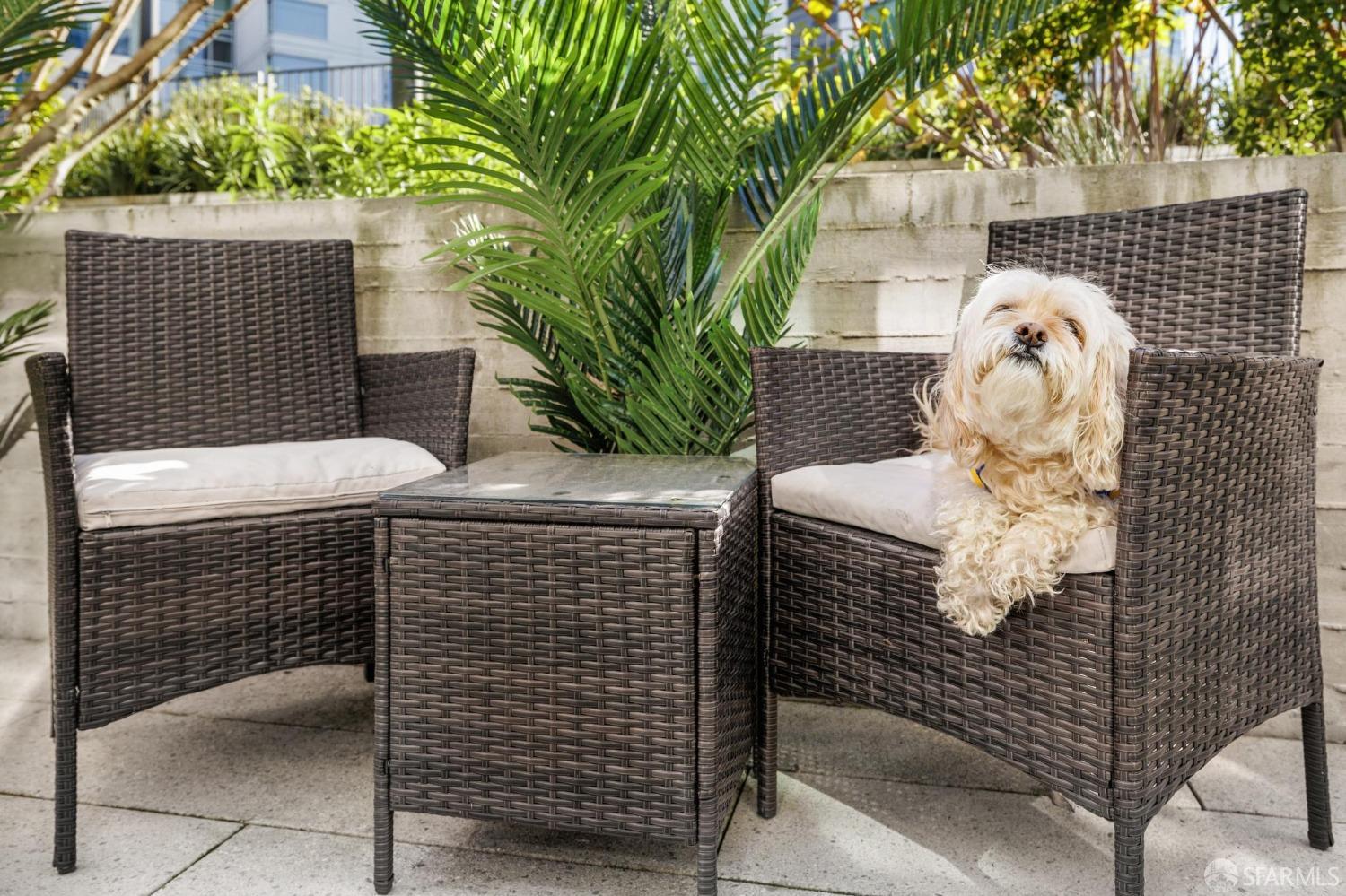 110 Channel Street # 314