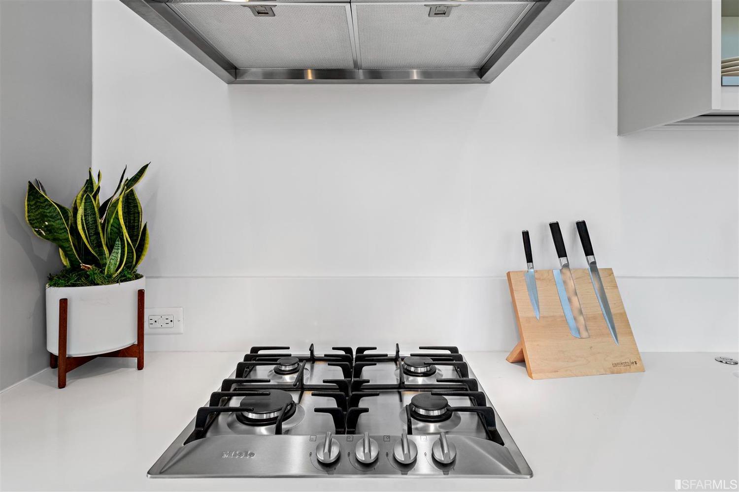 1545 Pine Street # 509