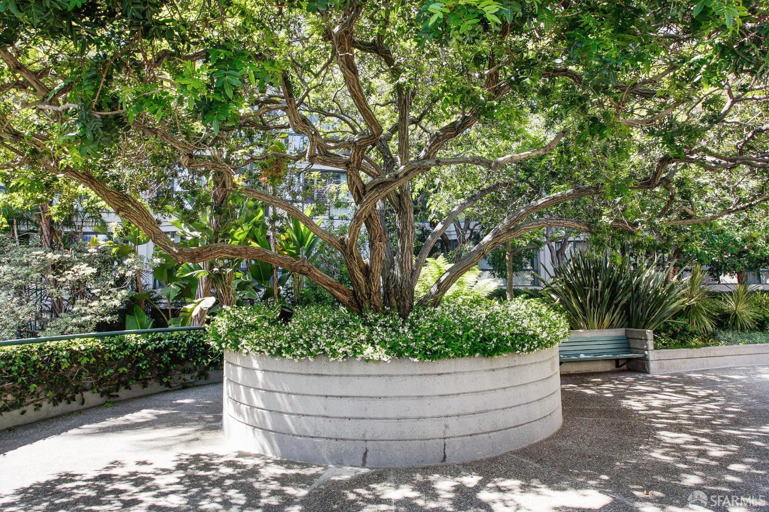 300 3rd Street # 510