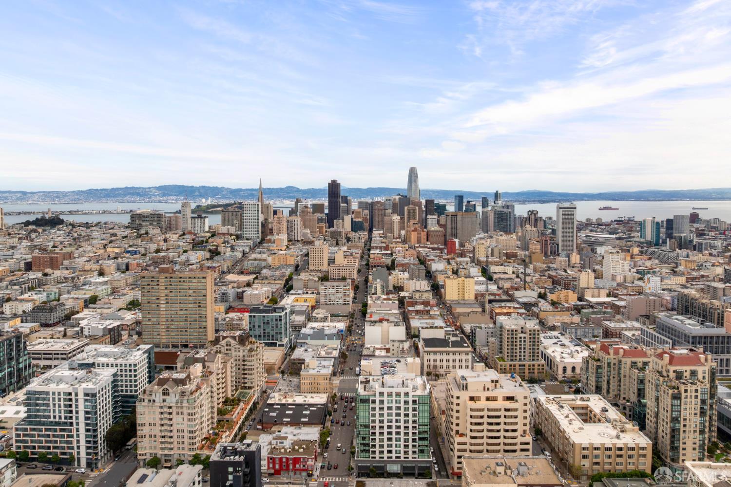 1450 Franklin Street # 607