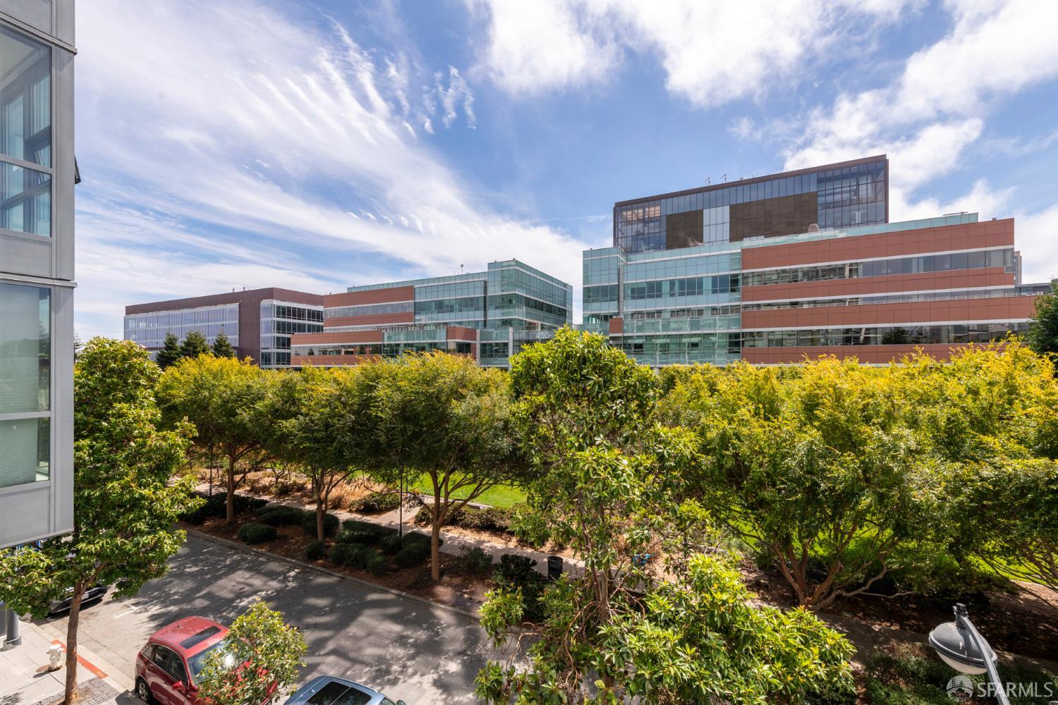 480 Mission Bay Boulevard # 316
