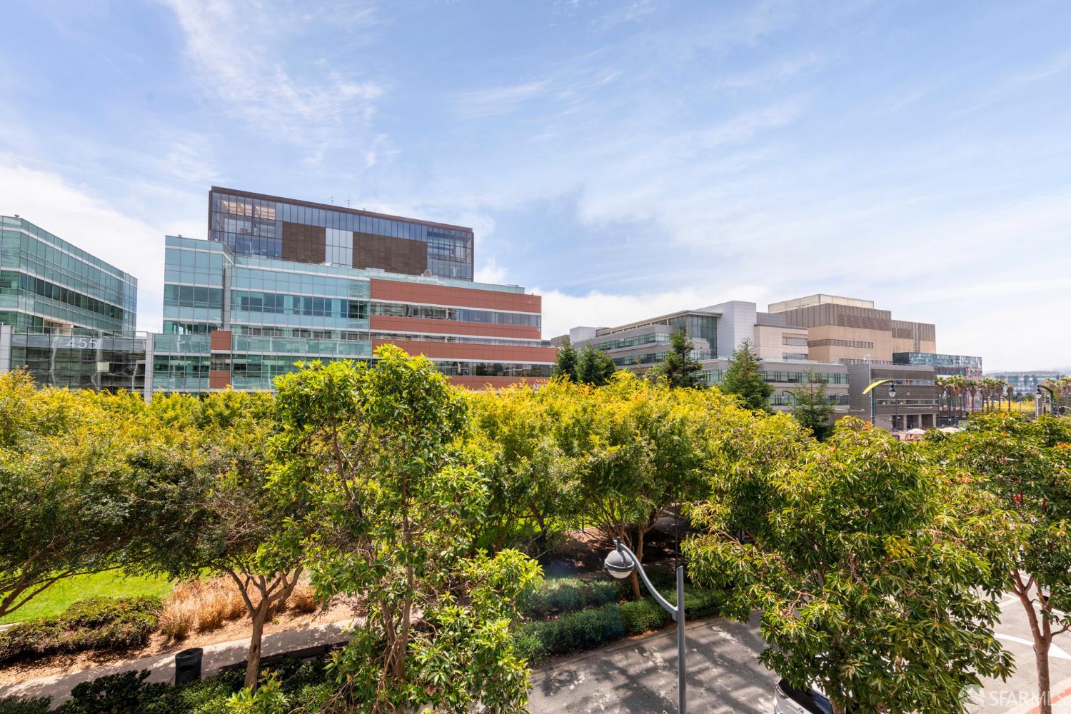 480 Mission Bay Boulevard # 316