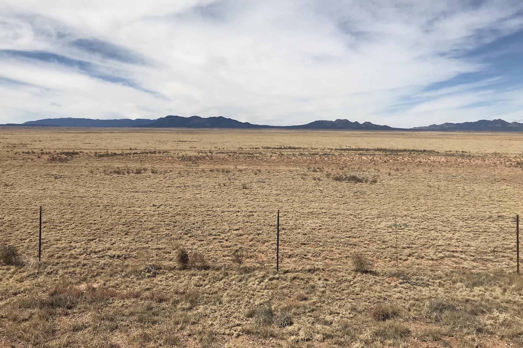 3920 Highway 41