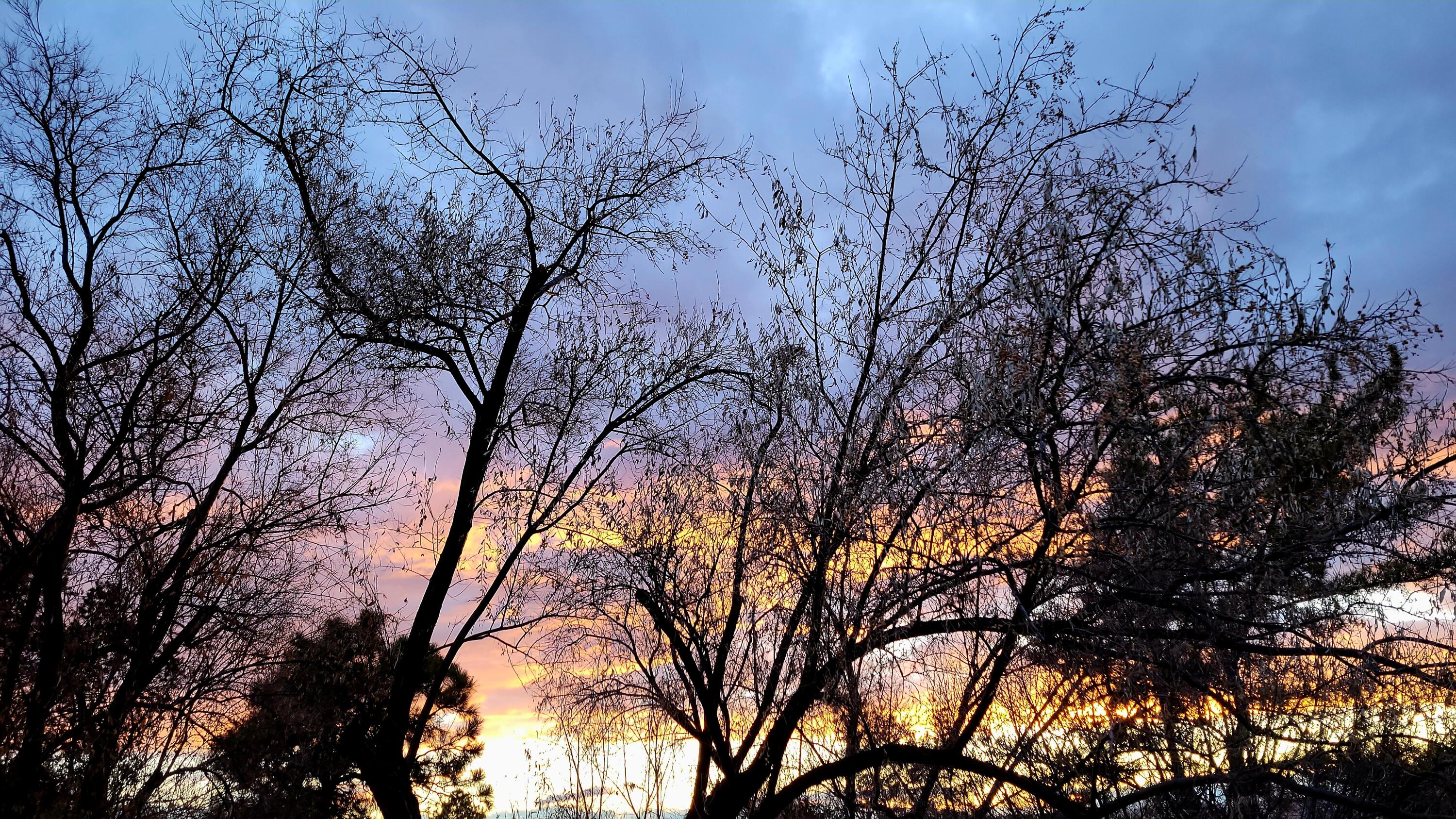 6404 MONTE SERRANO NE
