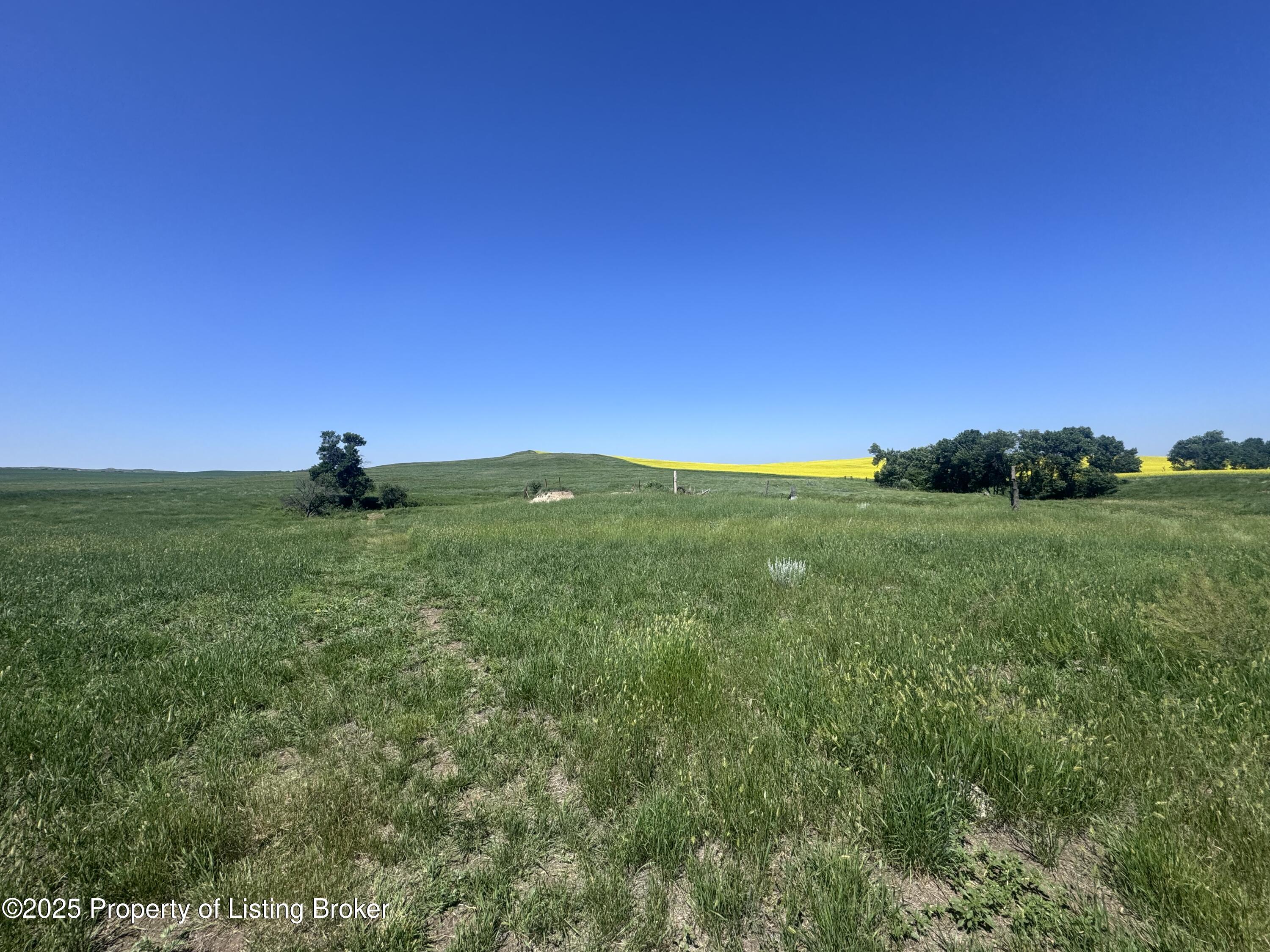 101ST Avenue SW