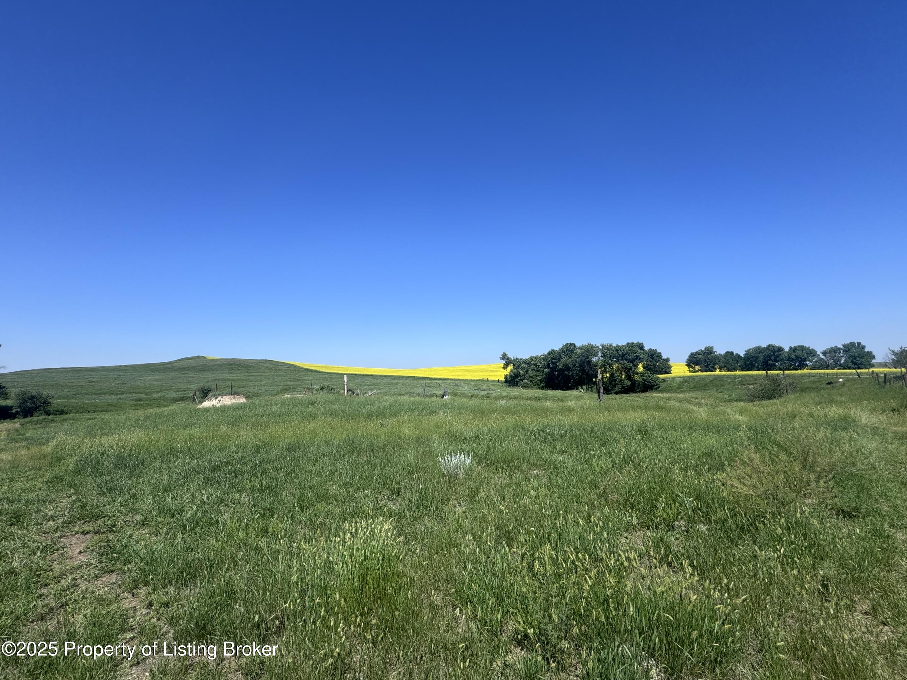 101ST Avenue SW
