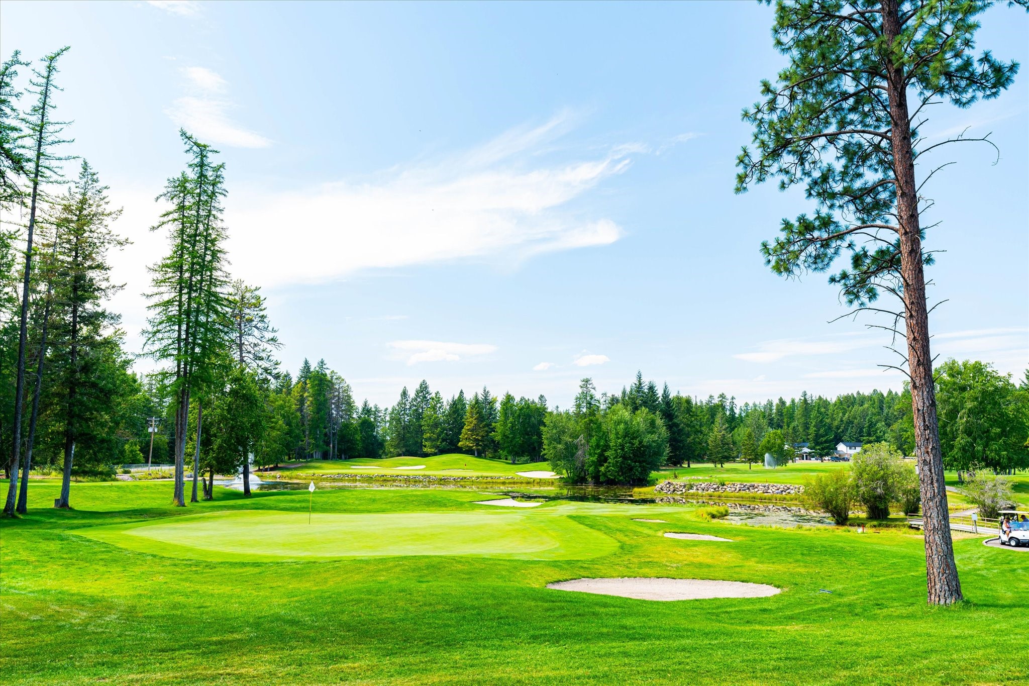 855 St. Andrews Drive