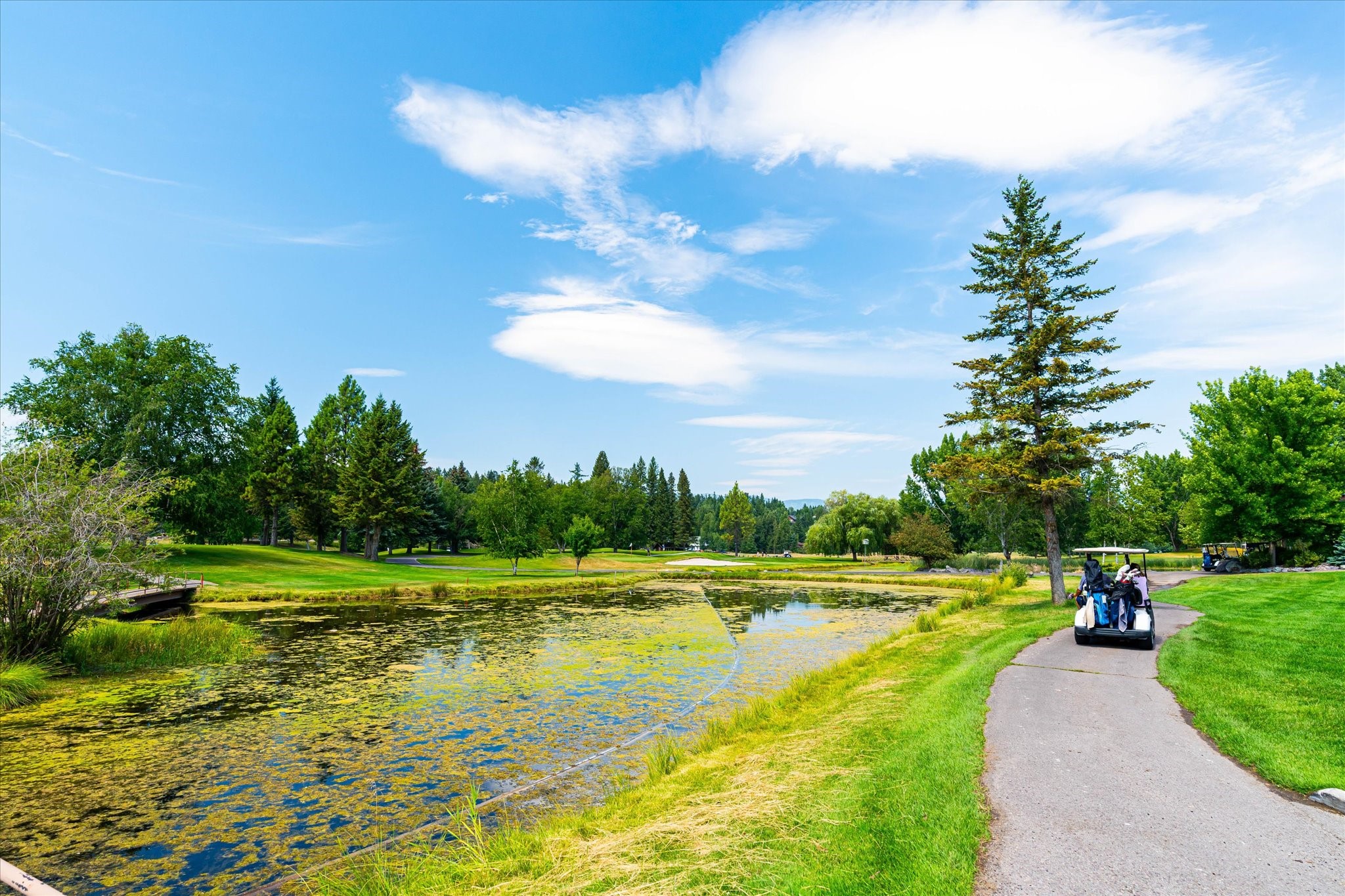 855 St. Andrews Drive