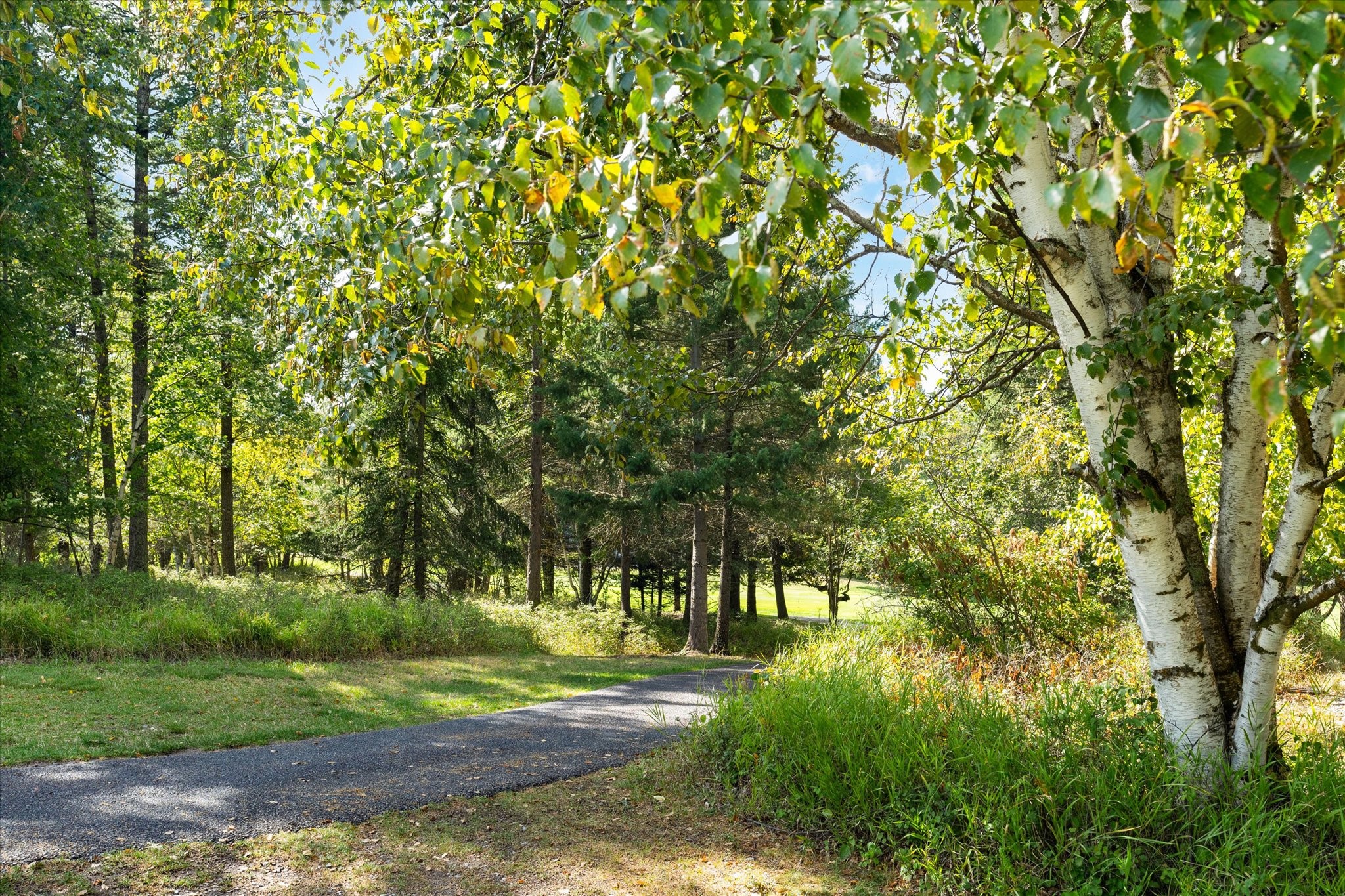 855 St. Andrews Drive