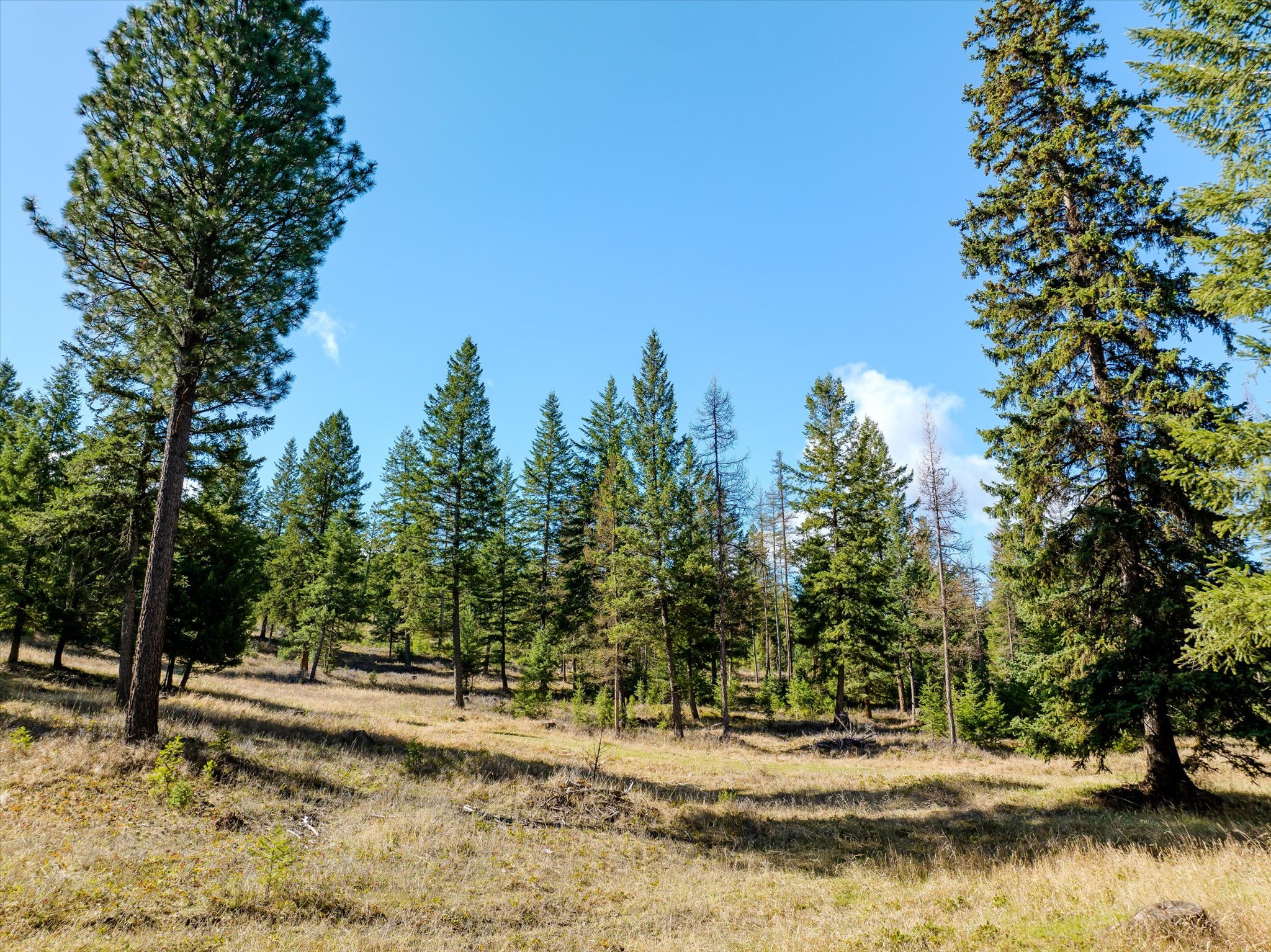 2910 Smith Lake Road