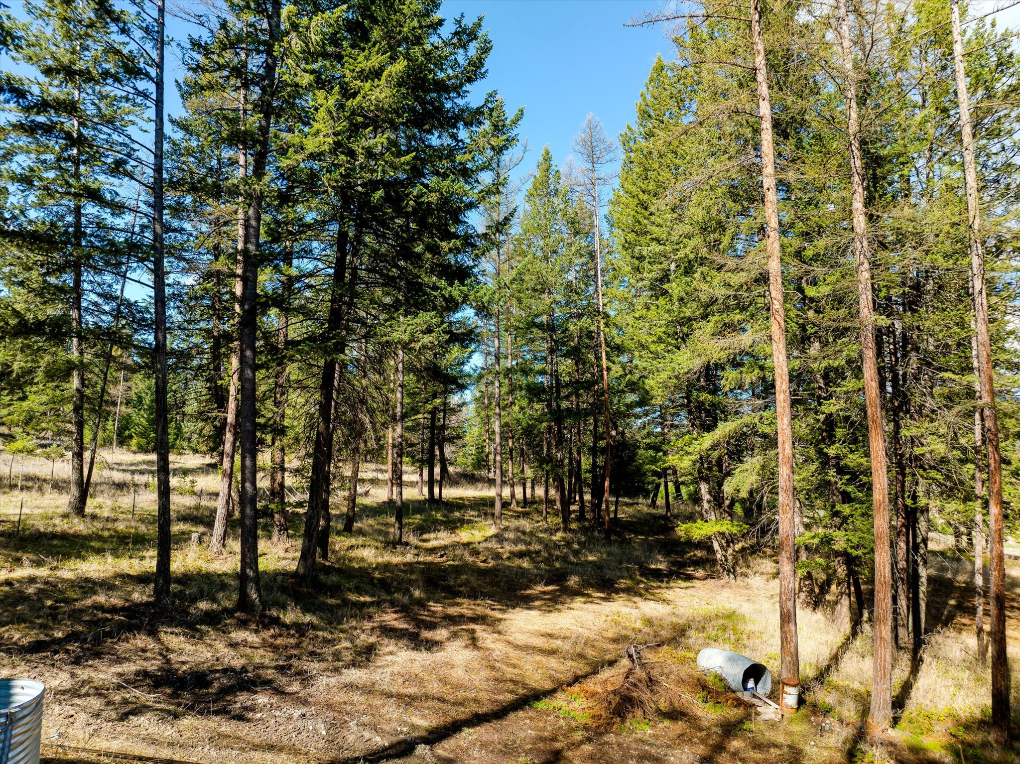 2910 Smith Lake Road