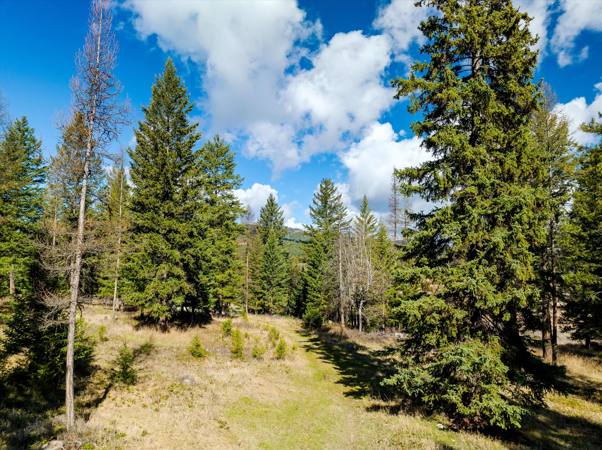 2910 Smith Lake Road