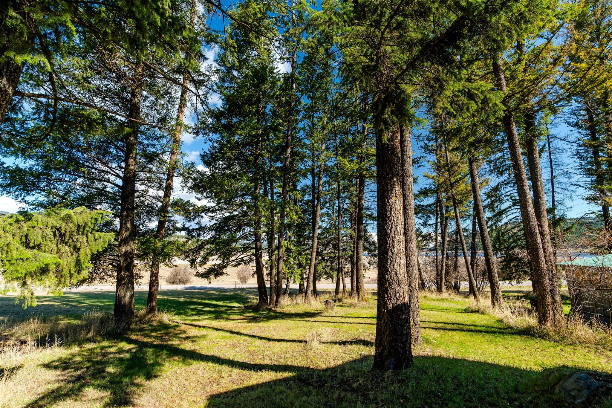 2910 Smith Lake Road