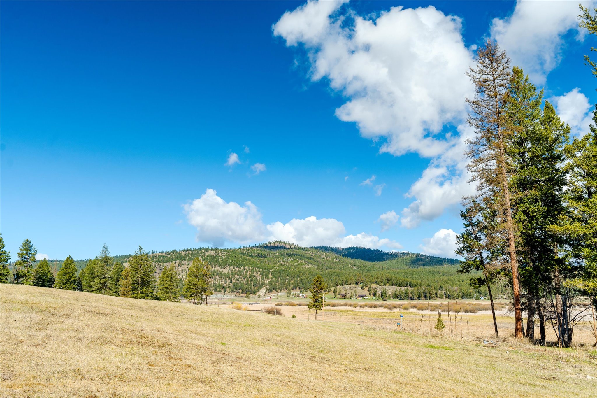 2910 Smith Lake Road