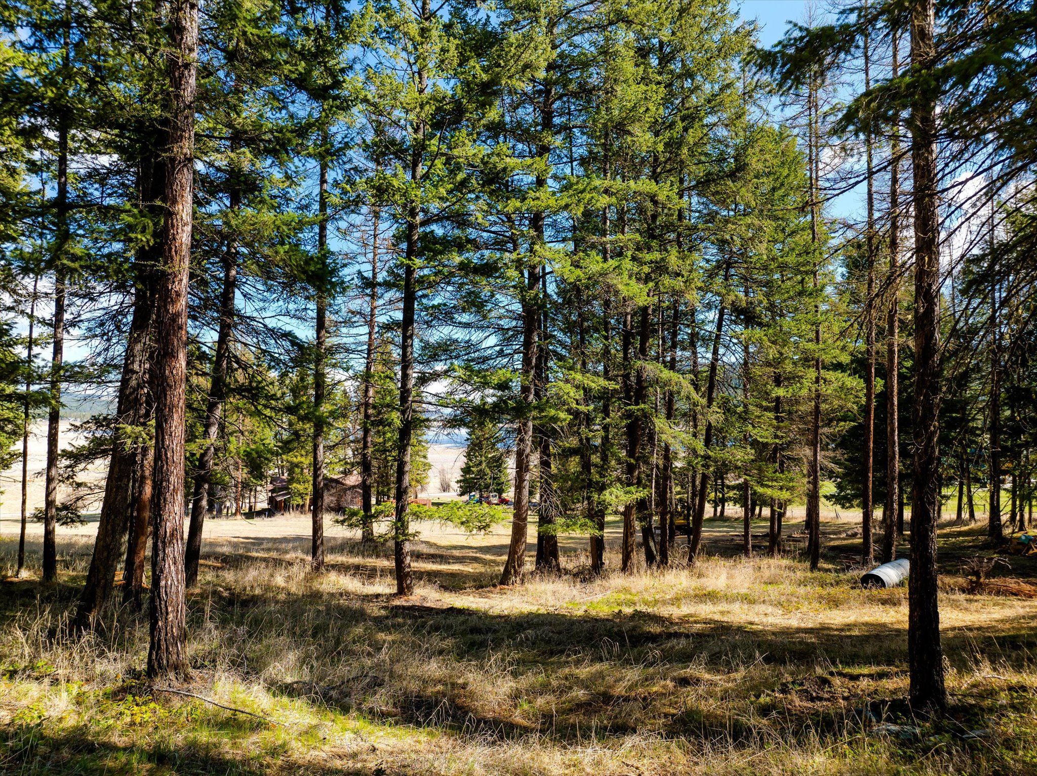 2910 Smith Lake Road