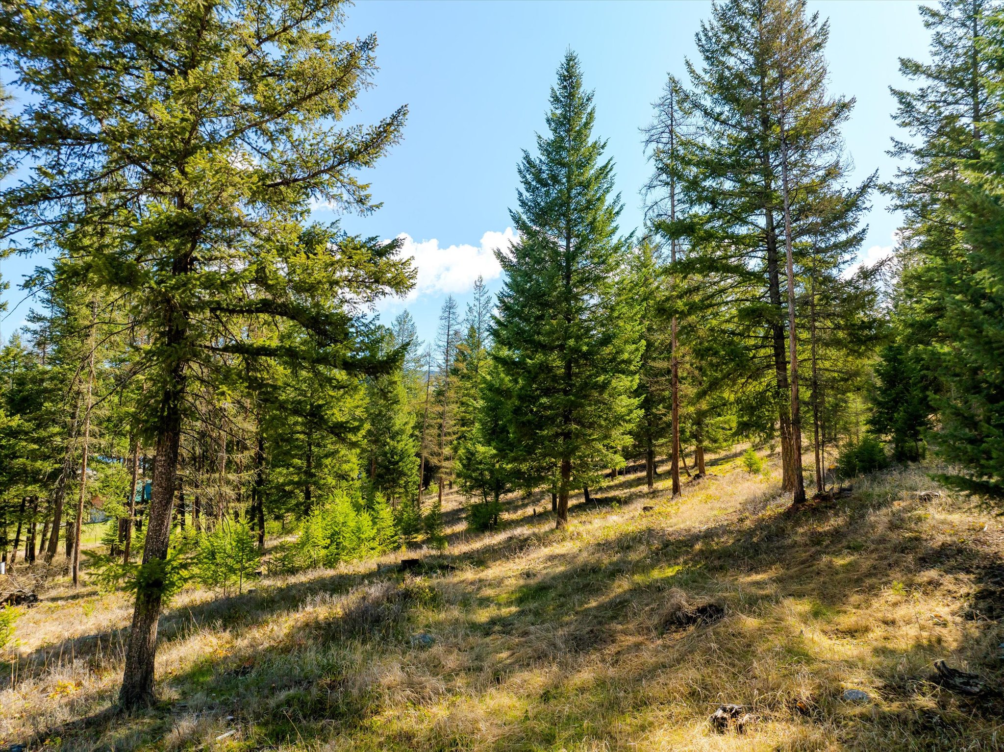 2910 Smith Lake Road