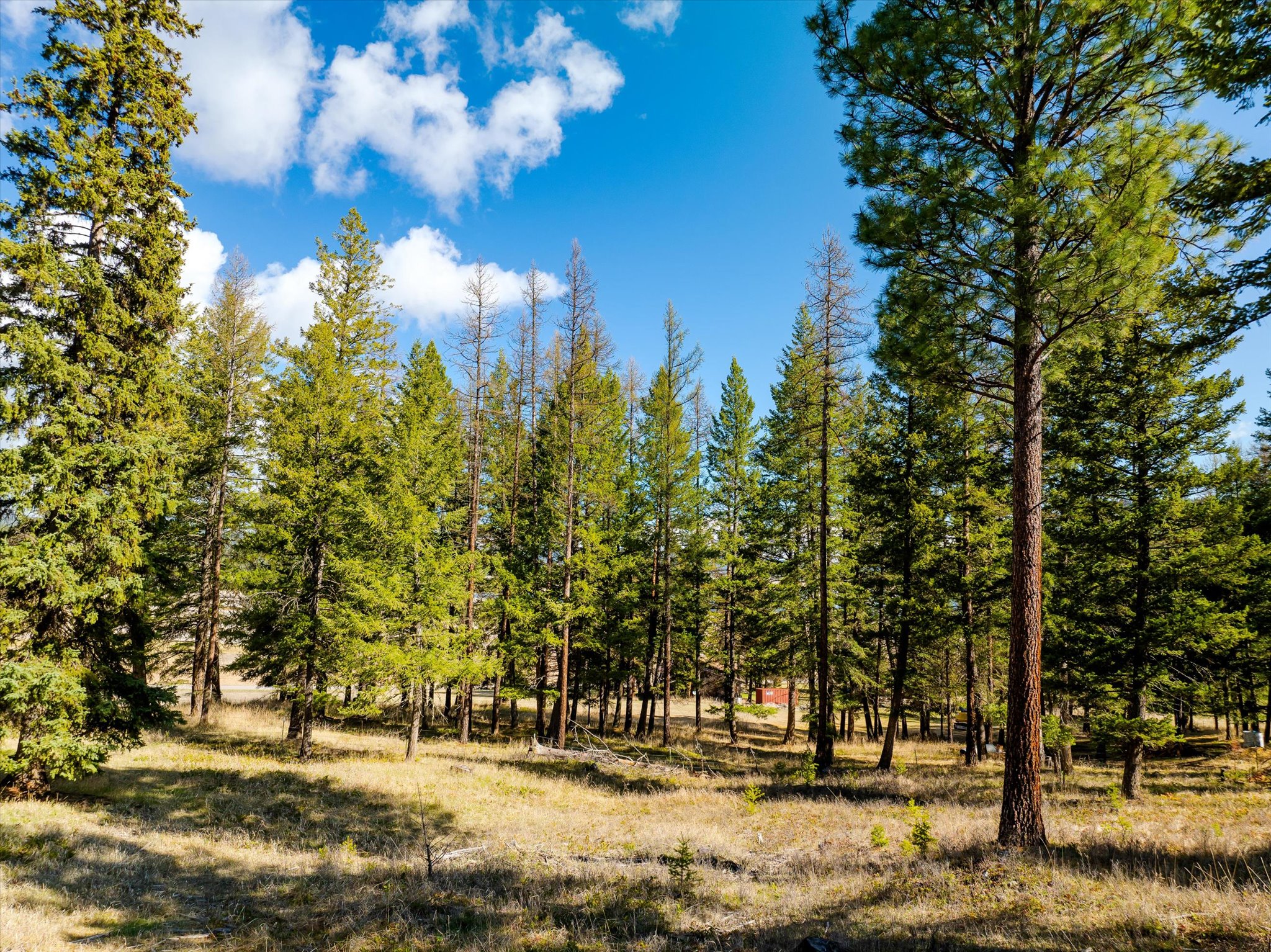 2910 Smith Lake Road