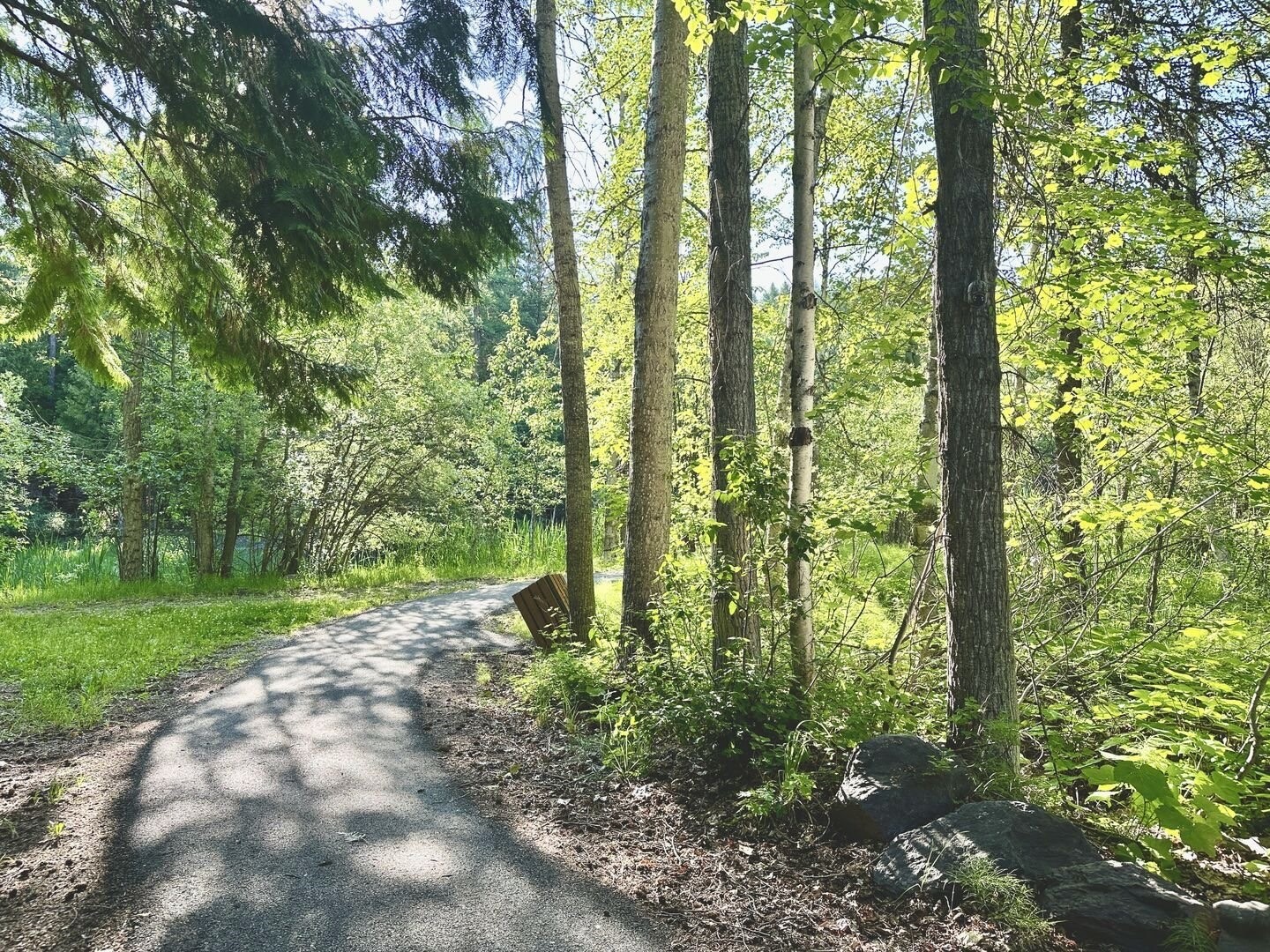 45 Alder Way 3C