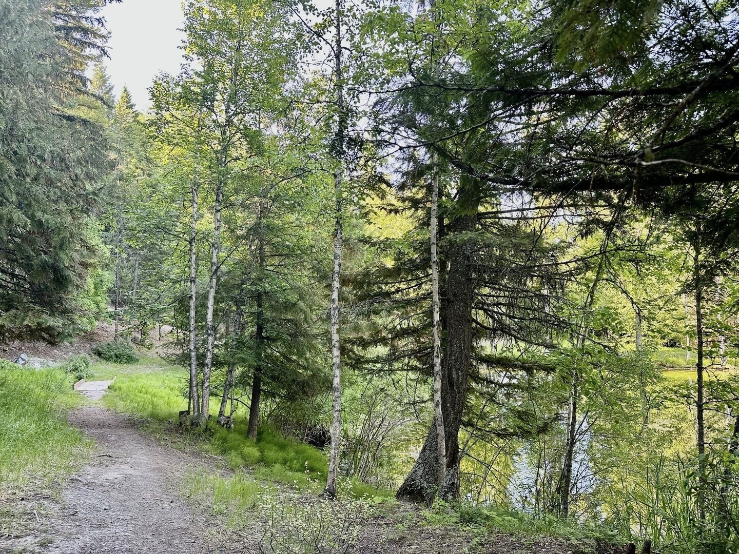45 Alder Way 3C
