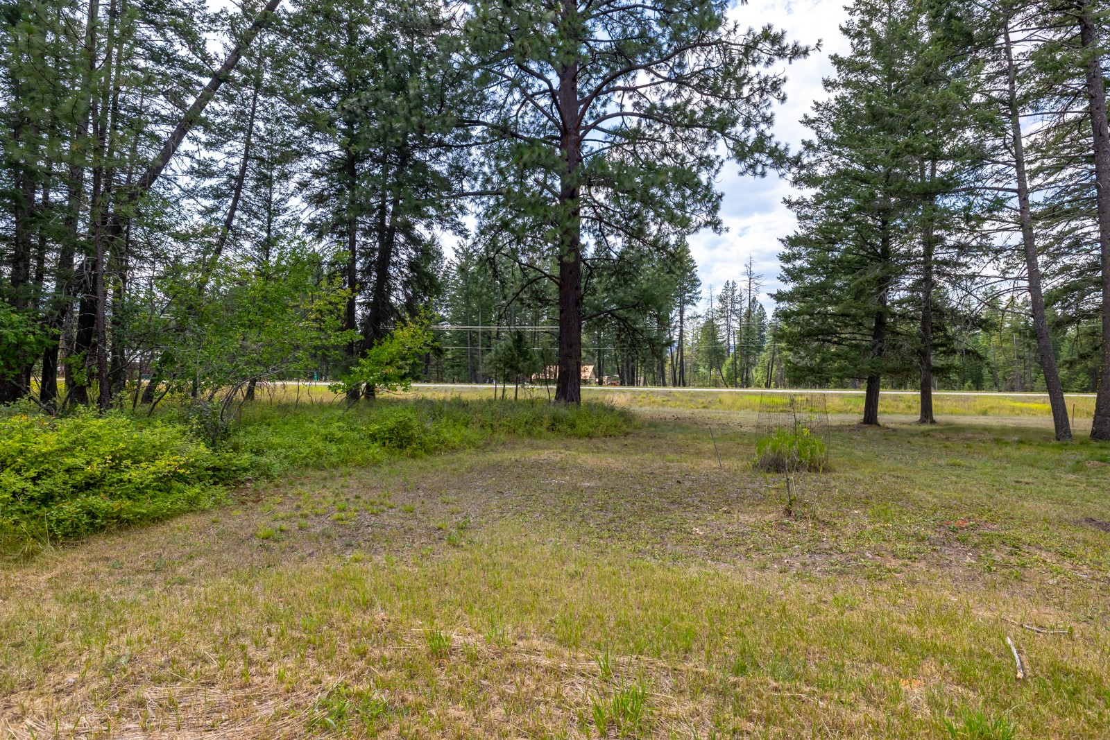 12554 Highway 83