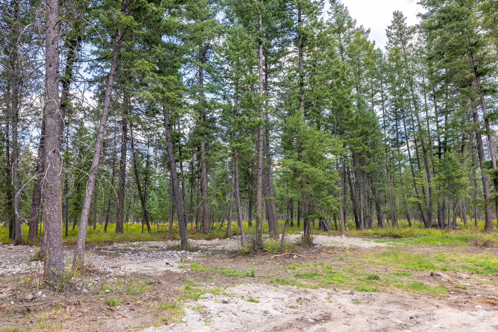 12554 Highway 83