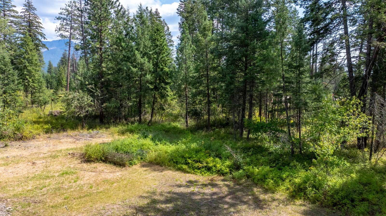 12554 Highway 83
