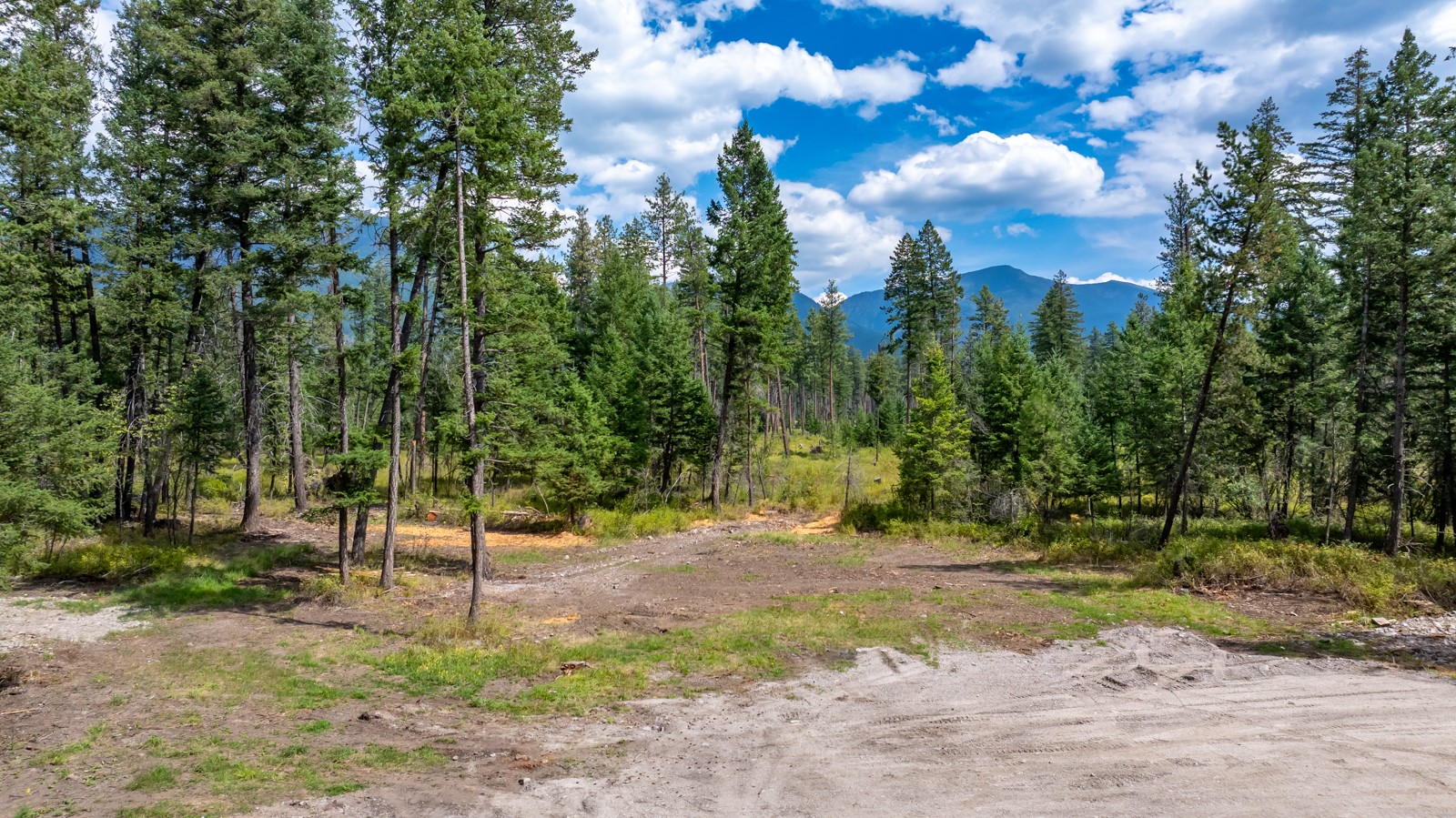 12554 Highway 83