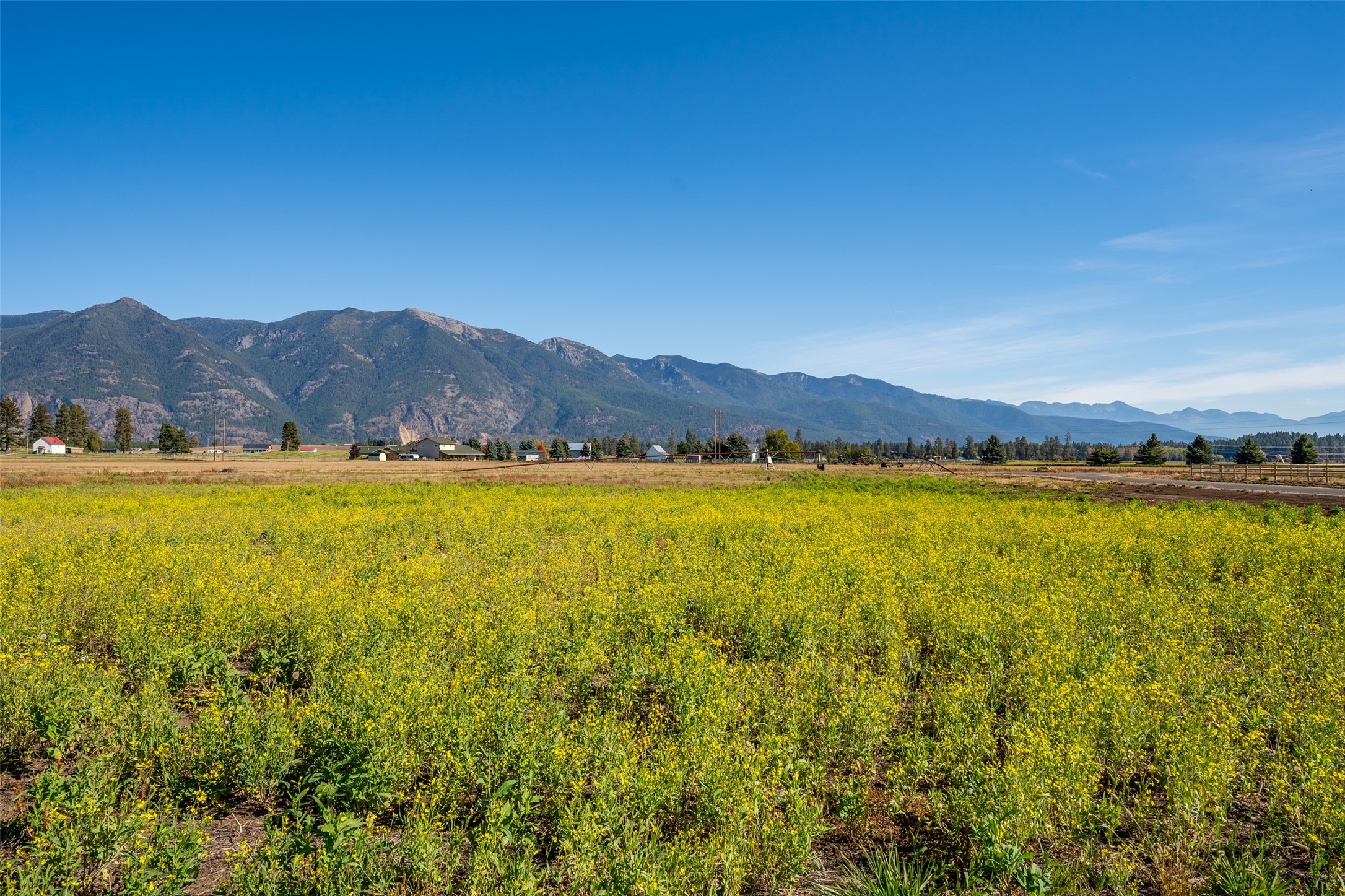 2049 Homestead Trail