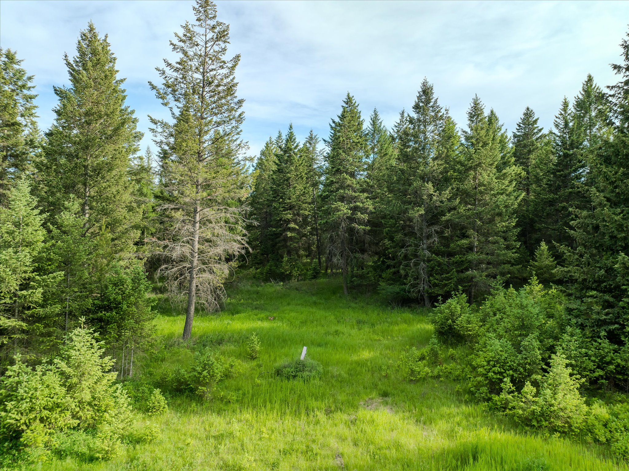 109 Lidstrom Road