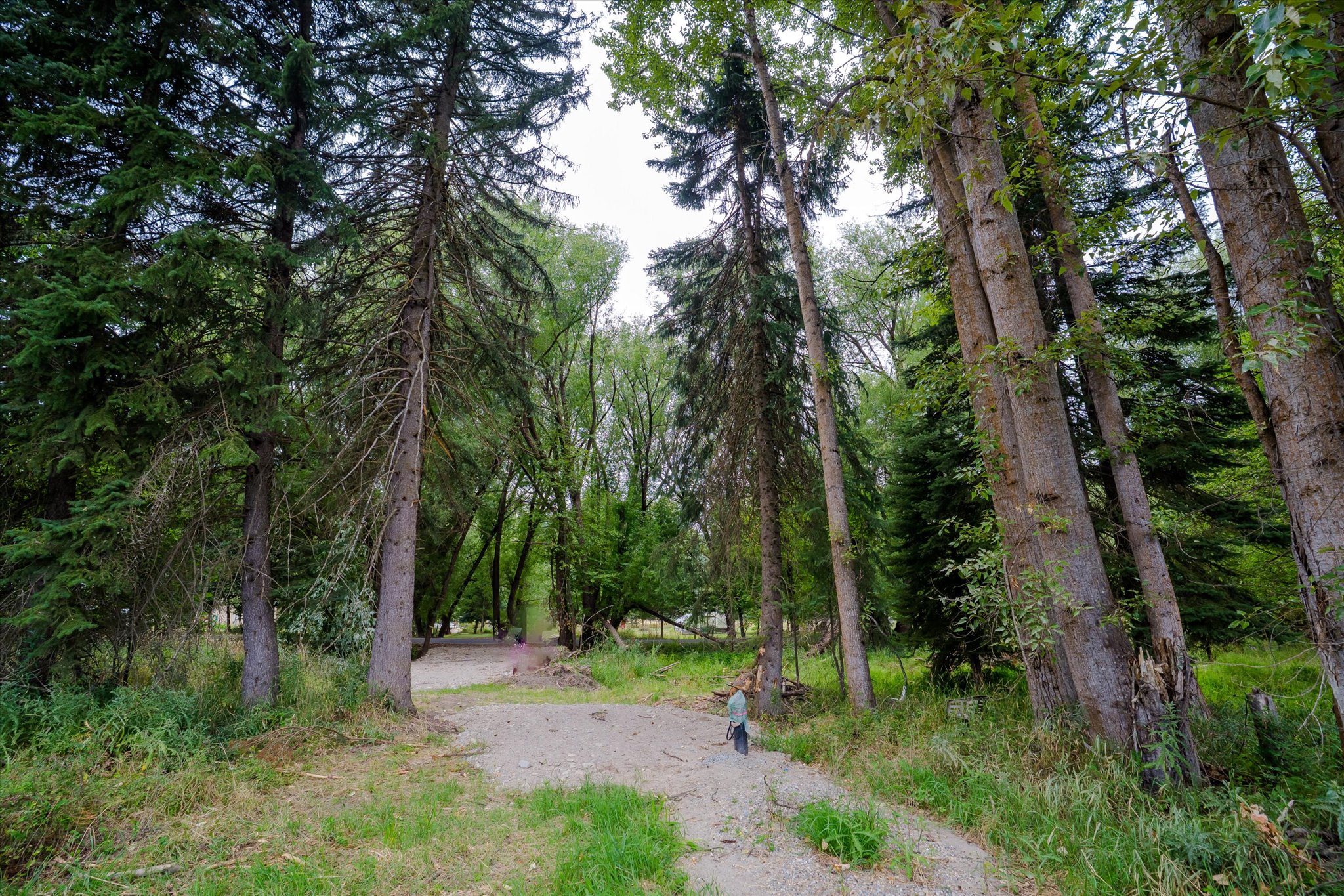 98 Dome Mountain Avenue