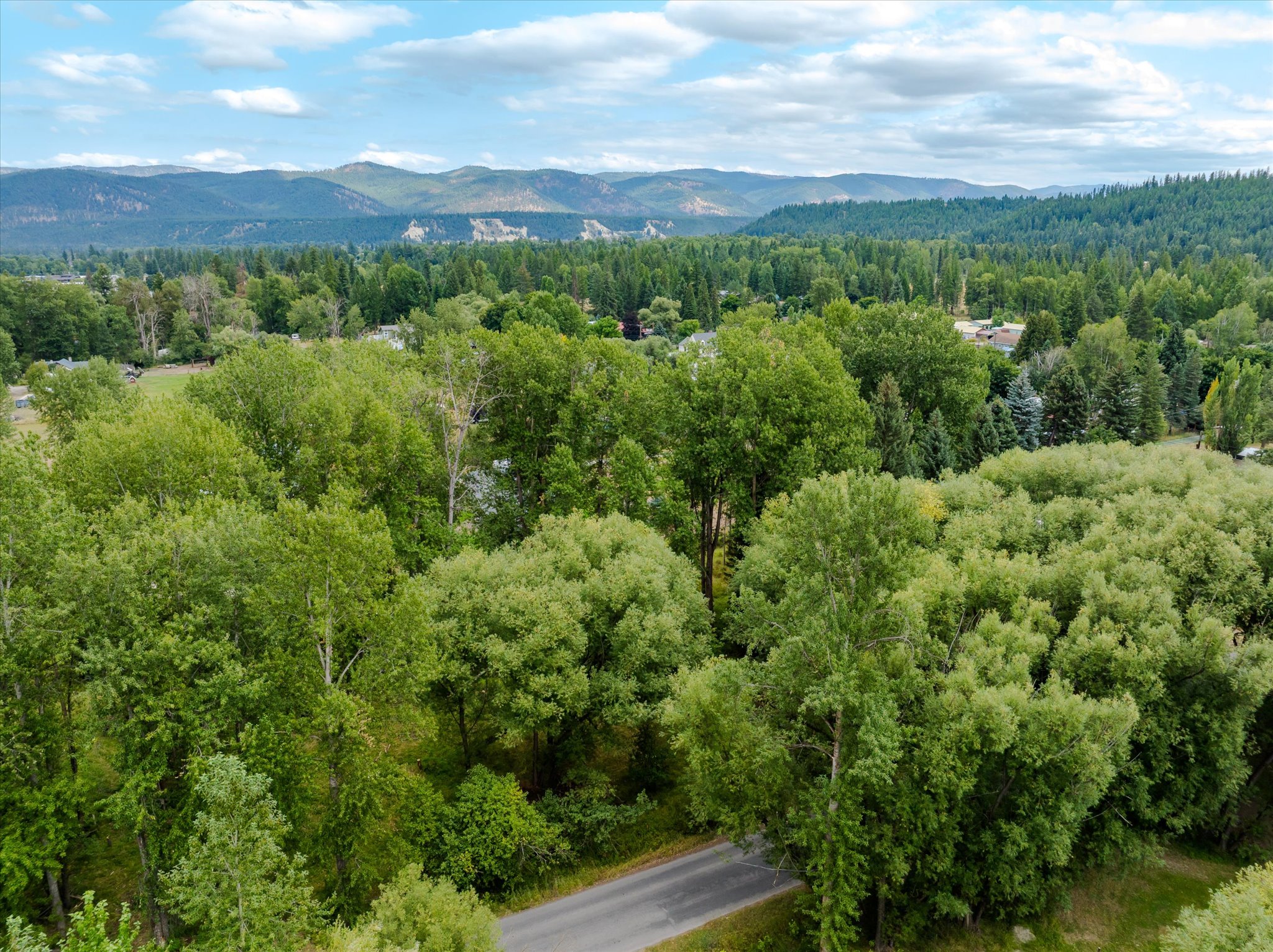 98 Dome Mountain Avenue